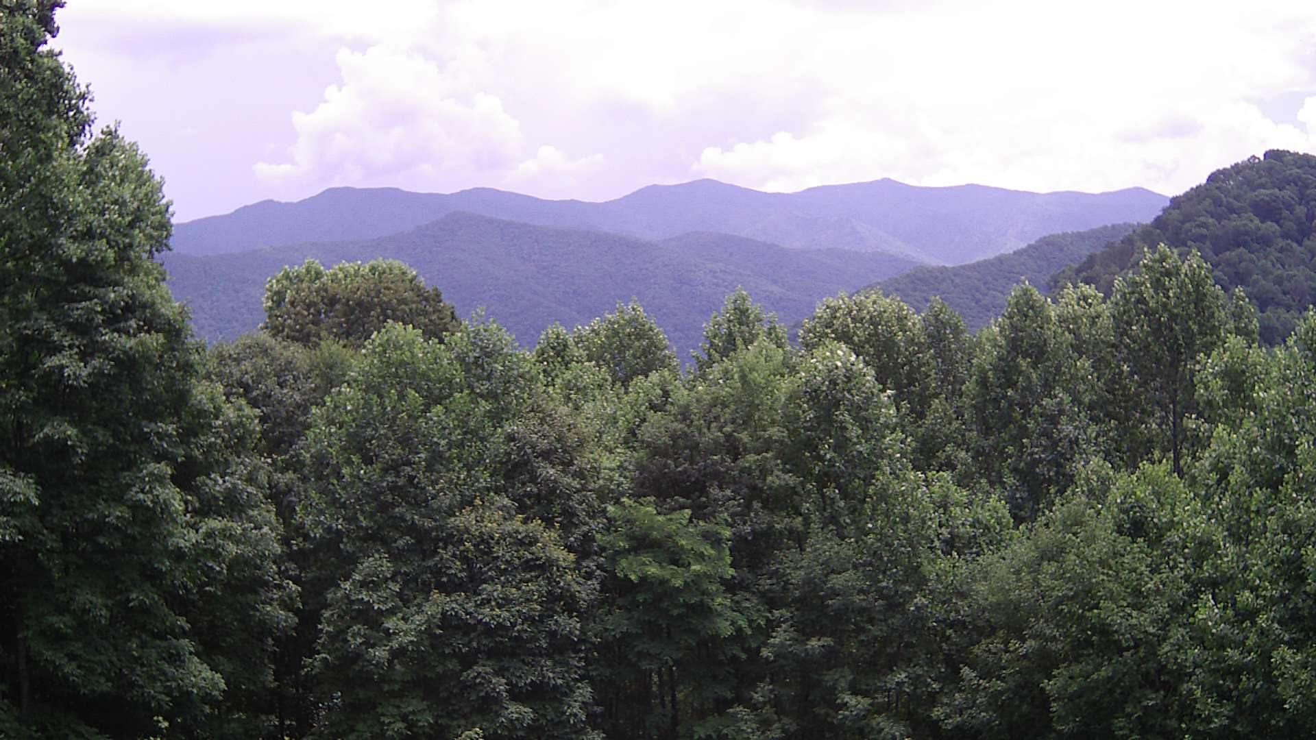 click for next image... slideshow image