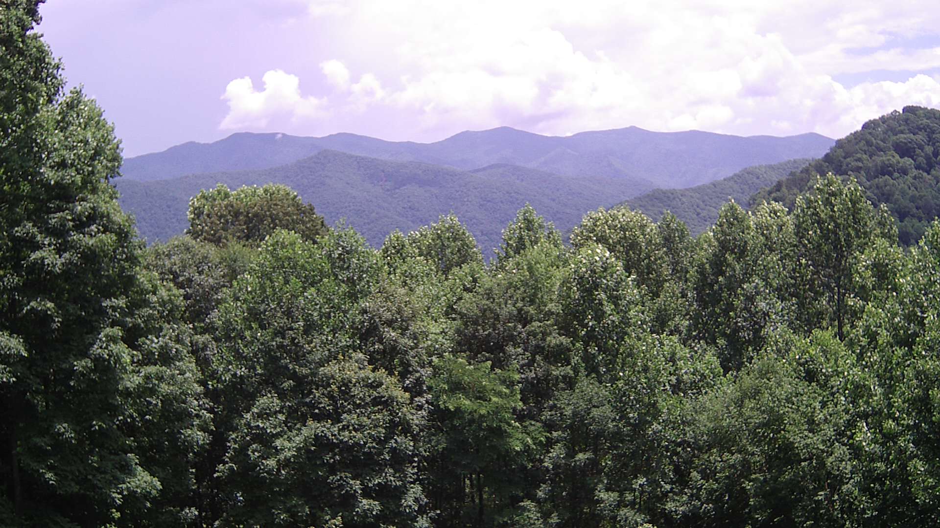 click for next image... slideshow image