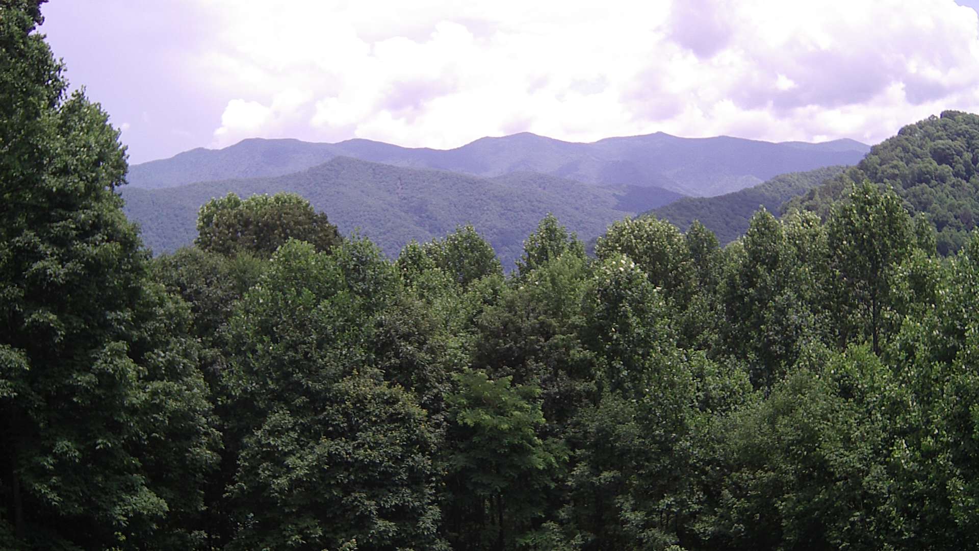 click for next image... slideshow image