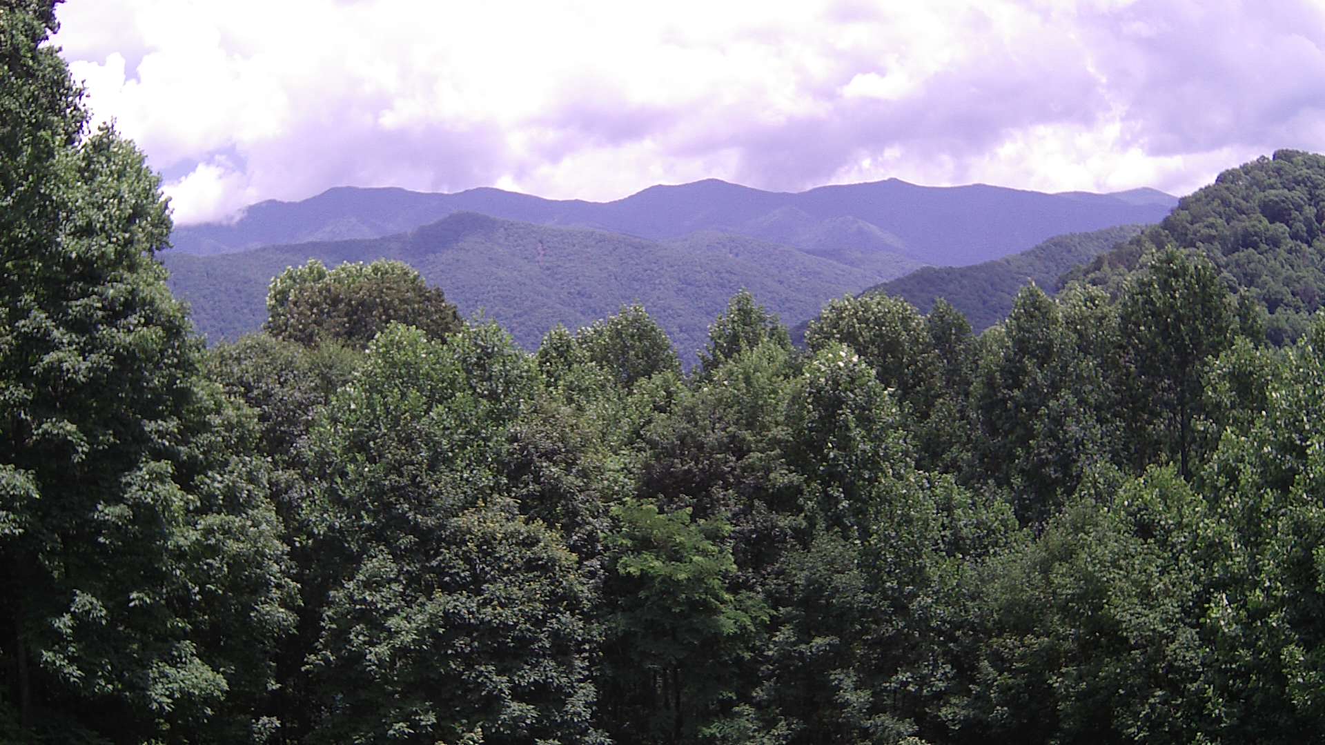 click for next image... slideshow image