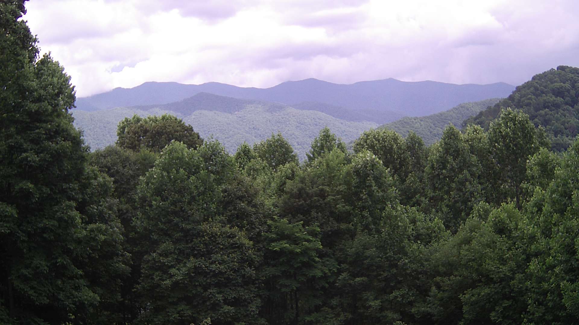 click for next image... slideshow image