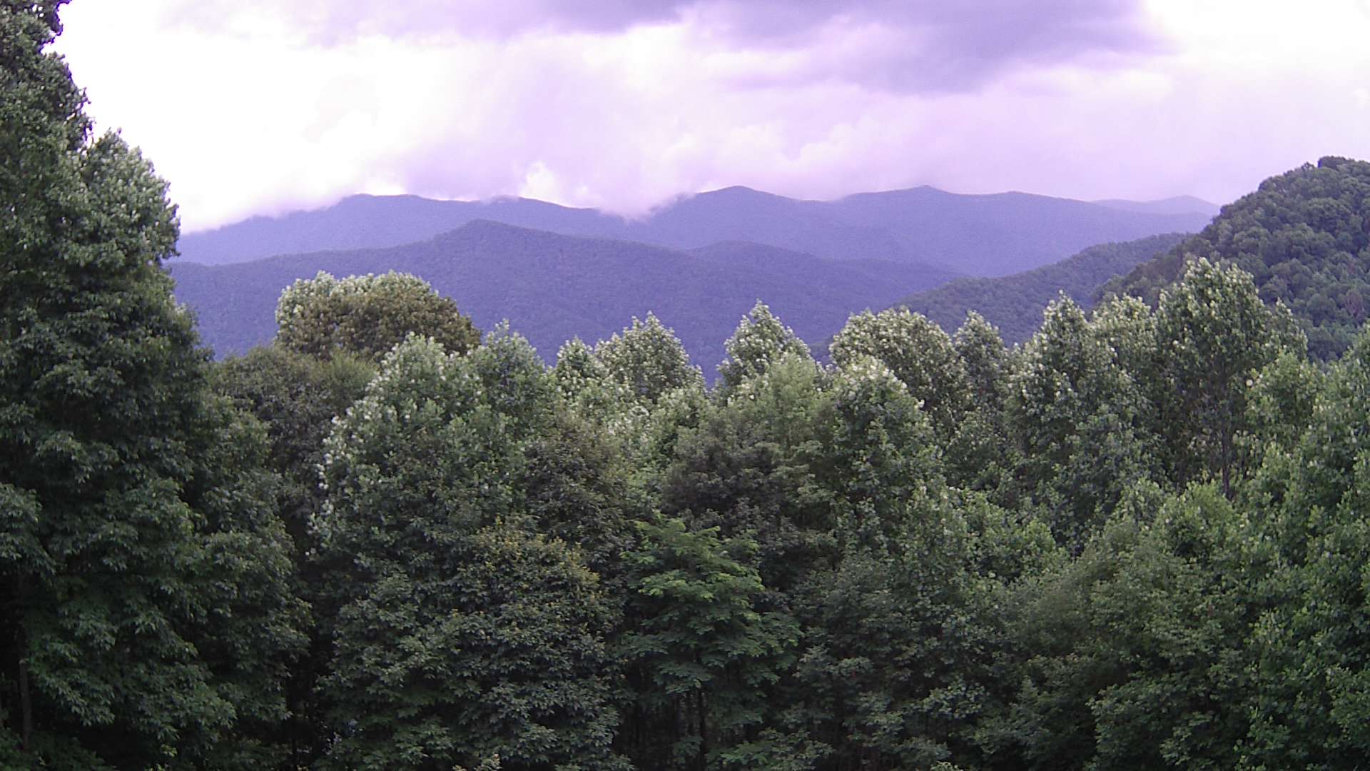 click for next image... slideshow image