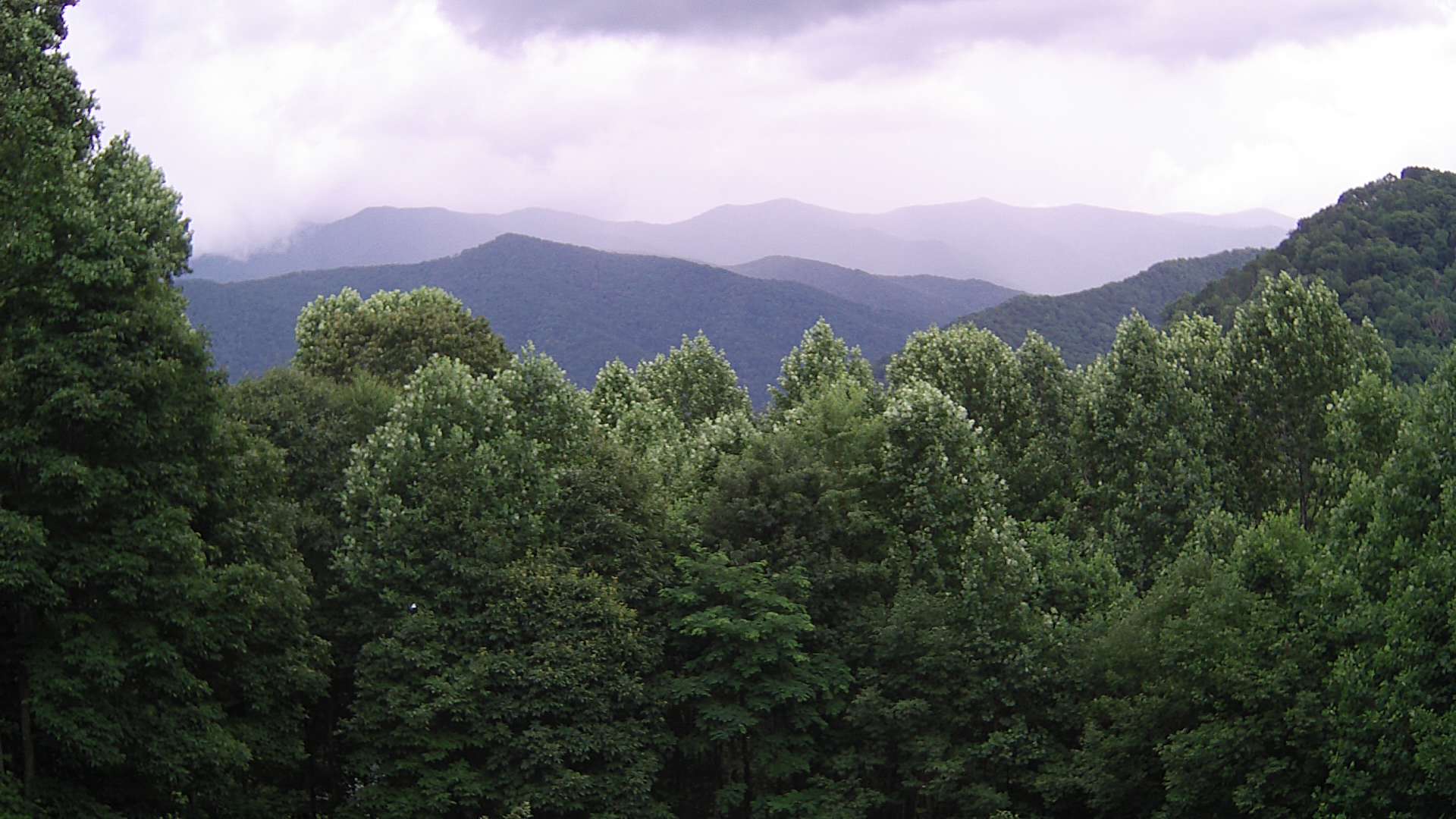 click for next image... slideshow image