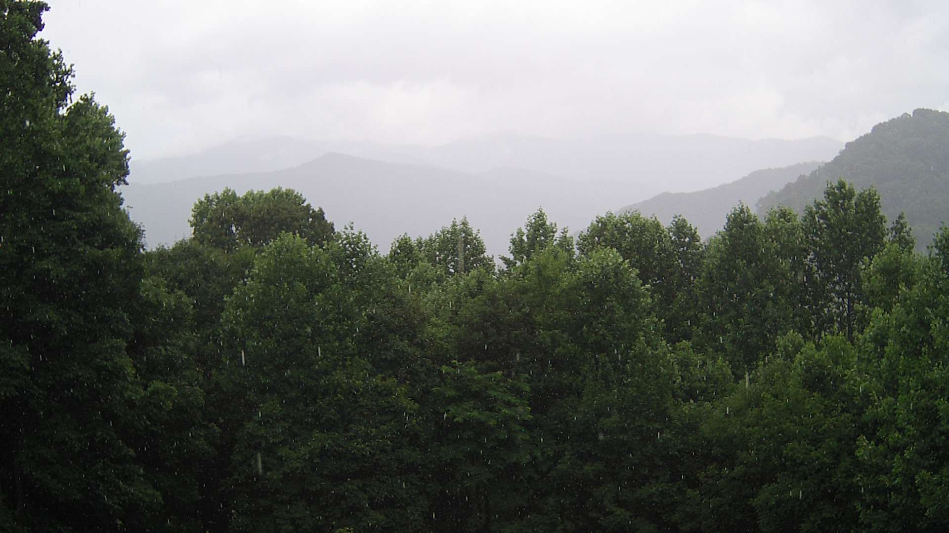 click for next image... slideshow image