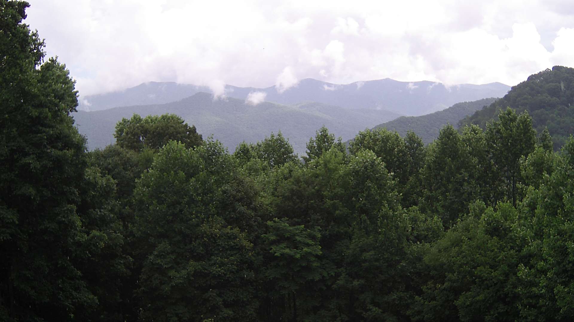 click for next image... slideshow image