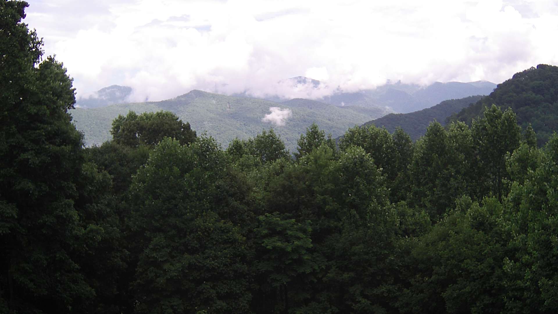 click for next image... slideshow image