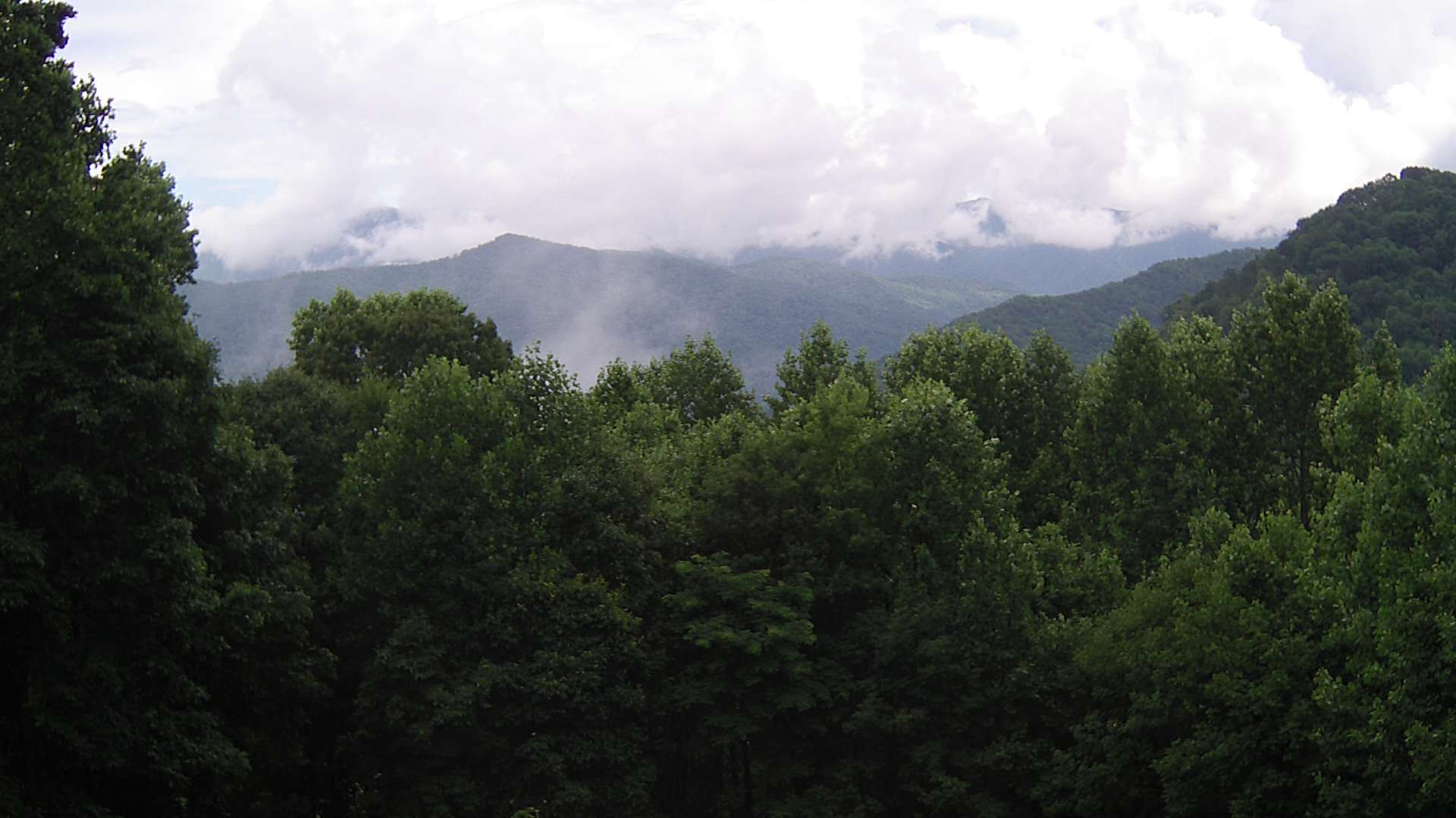 click for next image... slideshow image