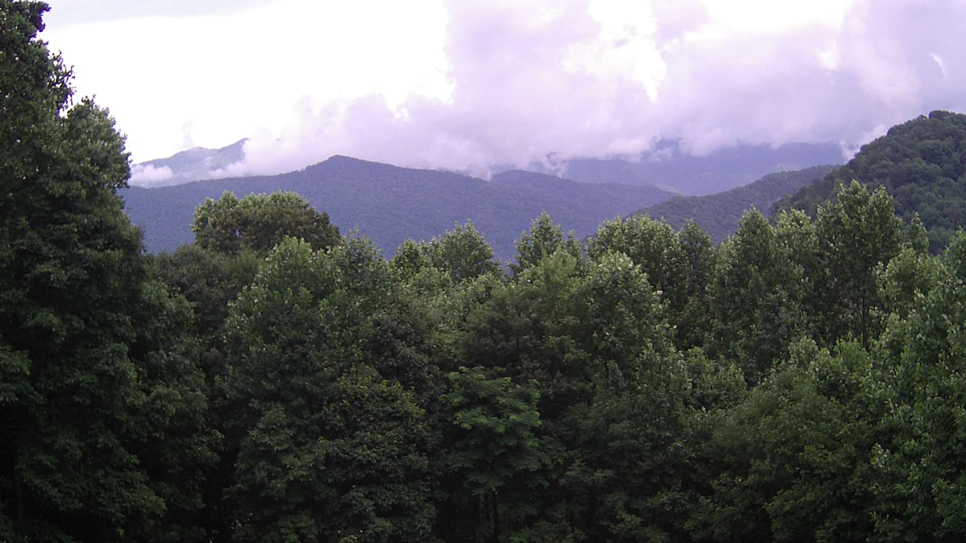 click for next image... slideshow image