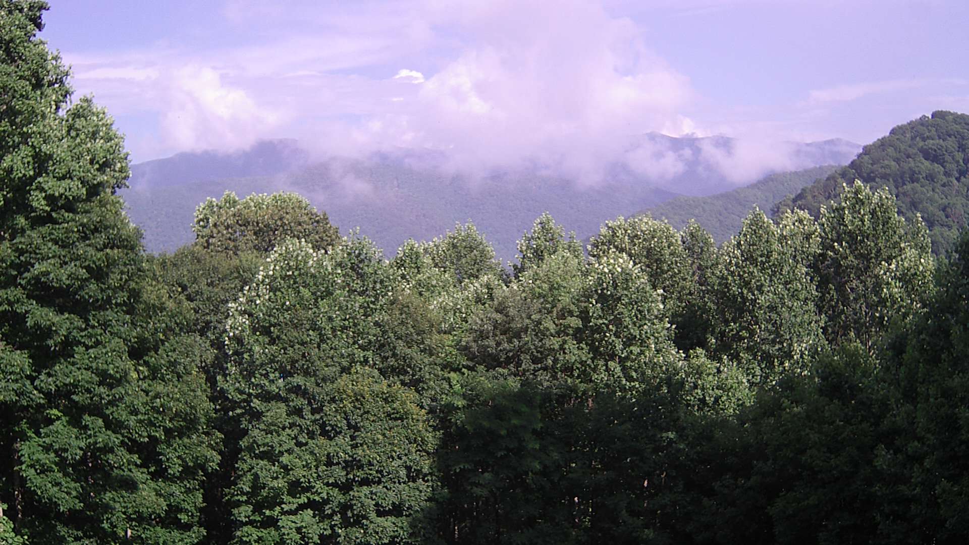 click for next image... slideshow image