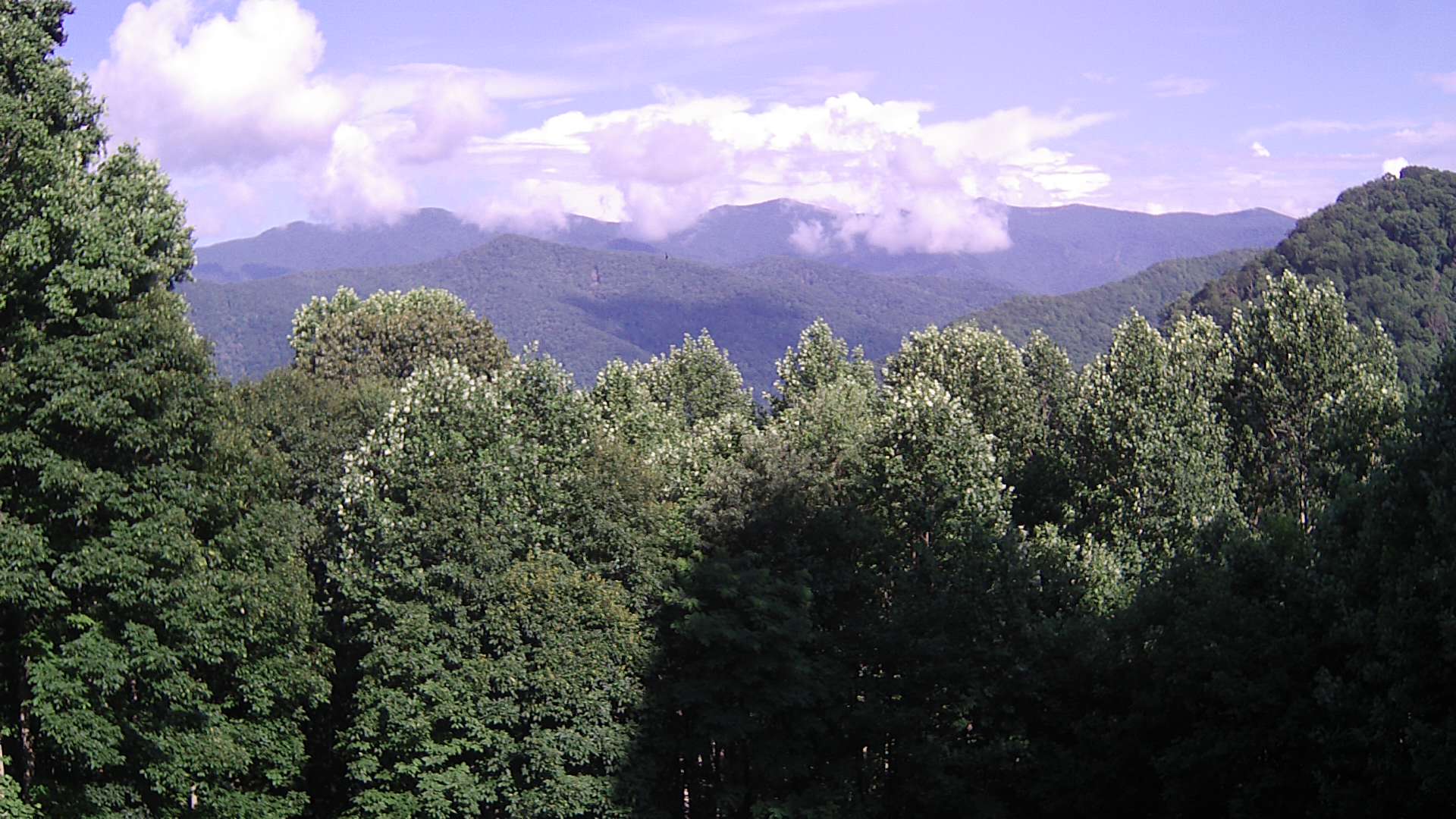 click for next image... slideshow image