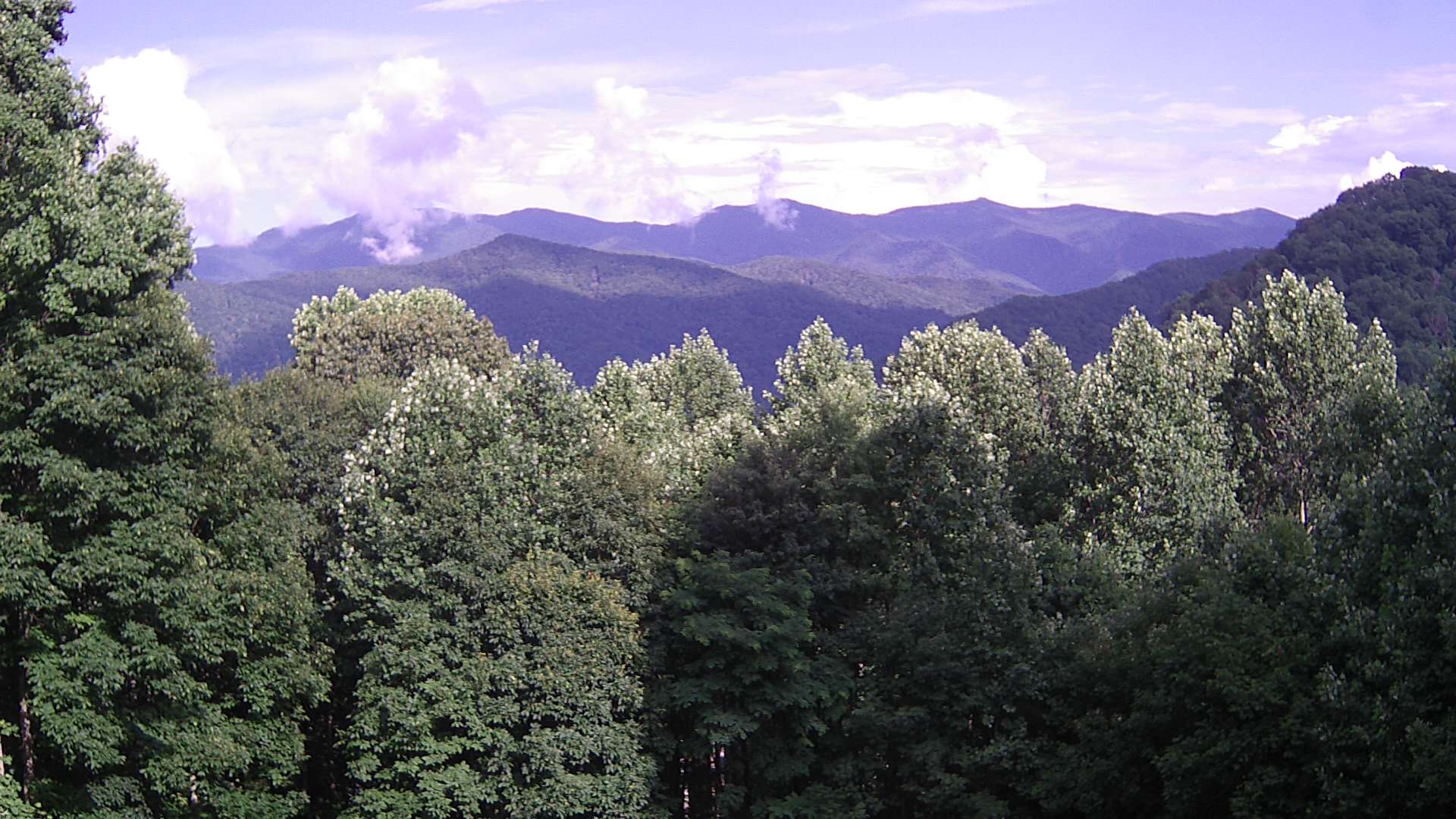 click for next image... slideshow image