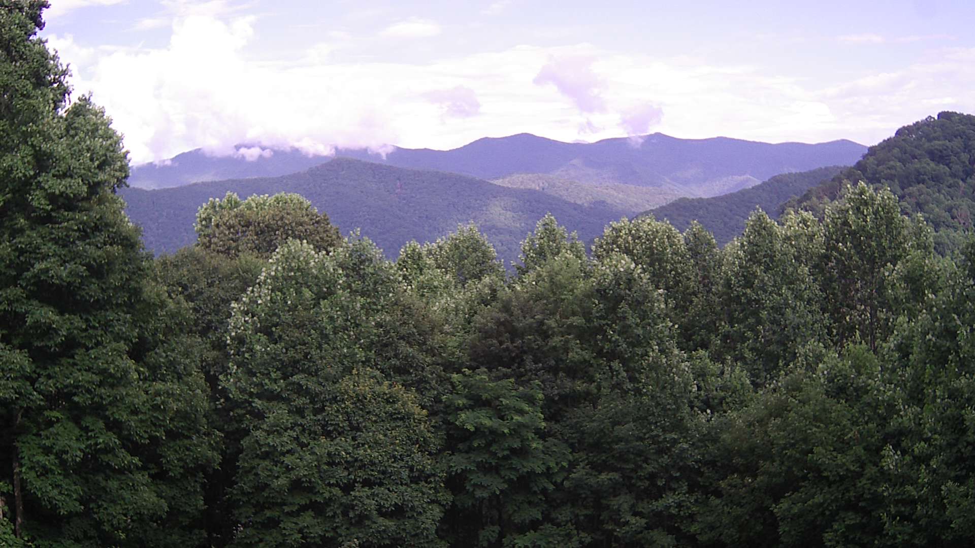 click for next image... slideshow image