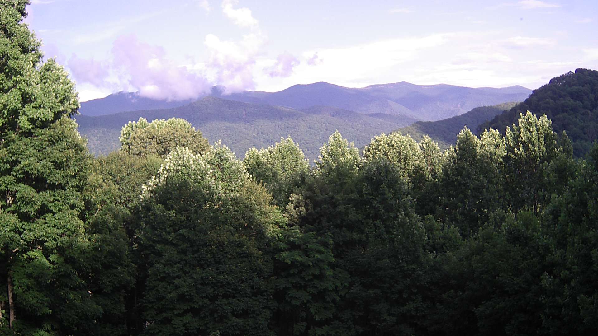 click for next image... slideshow image