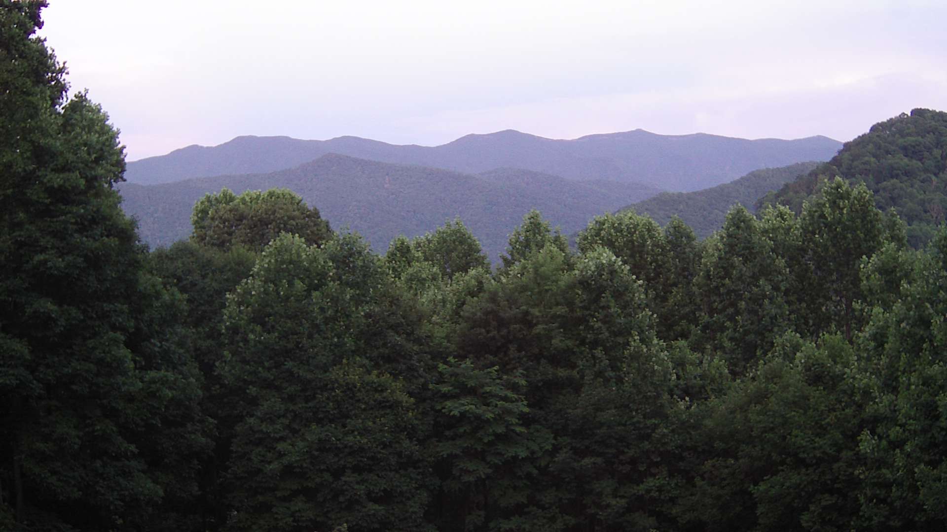 click for next image... slideshow image