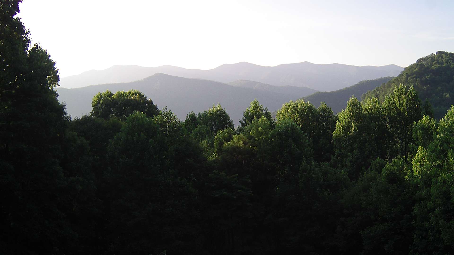 click for next image... slideshow image