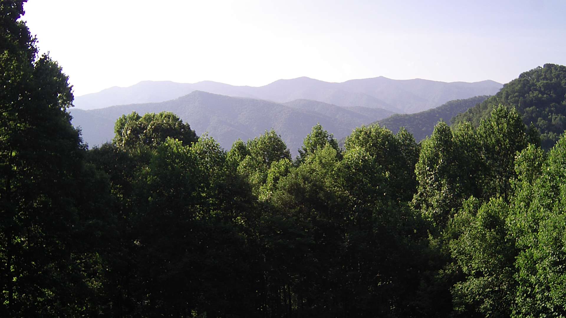 click for next image... slideshow image