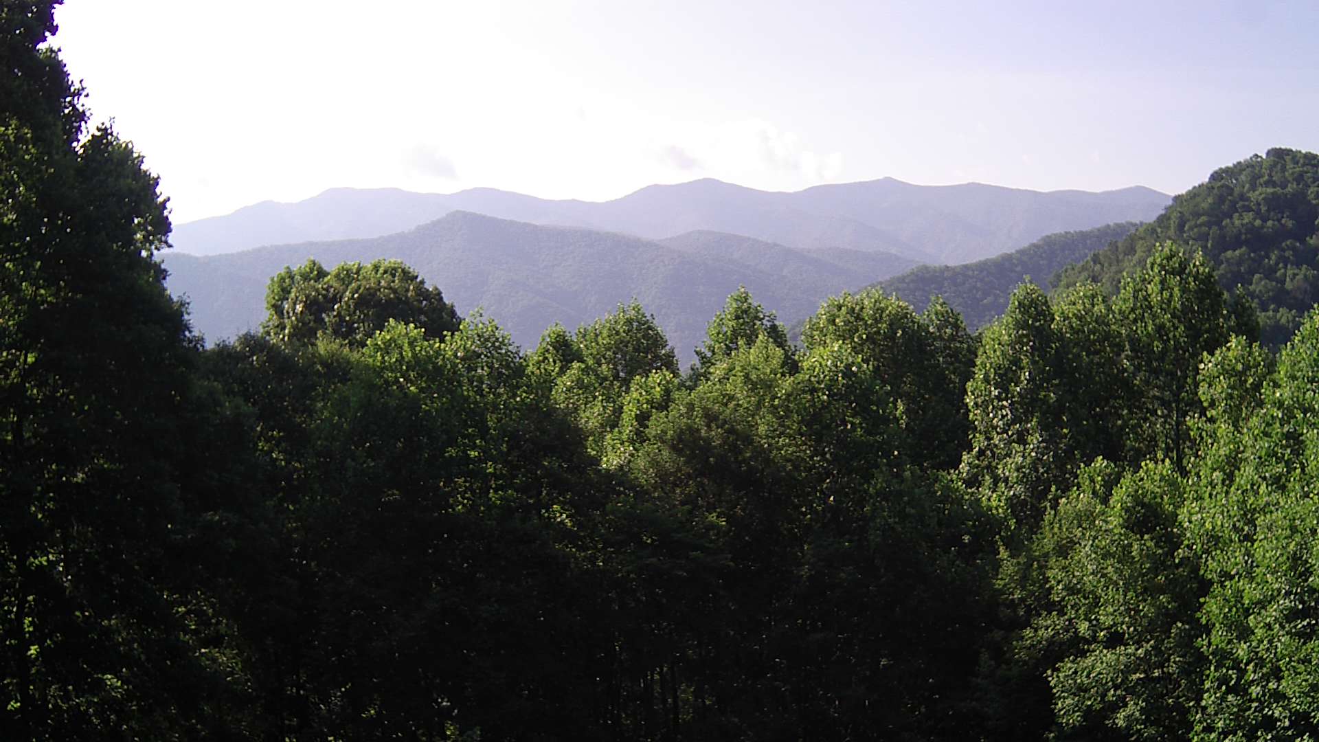 click for next image... slideshow image