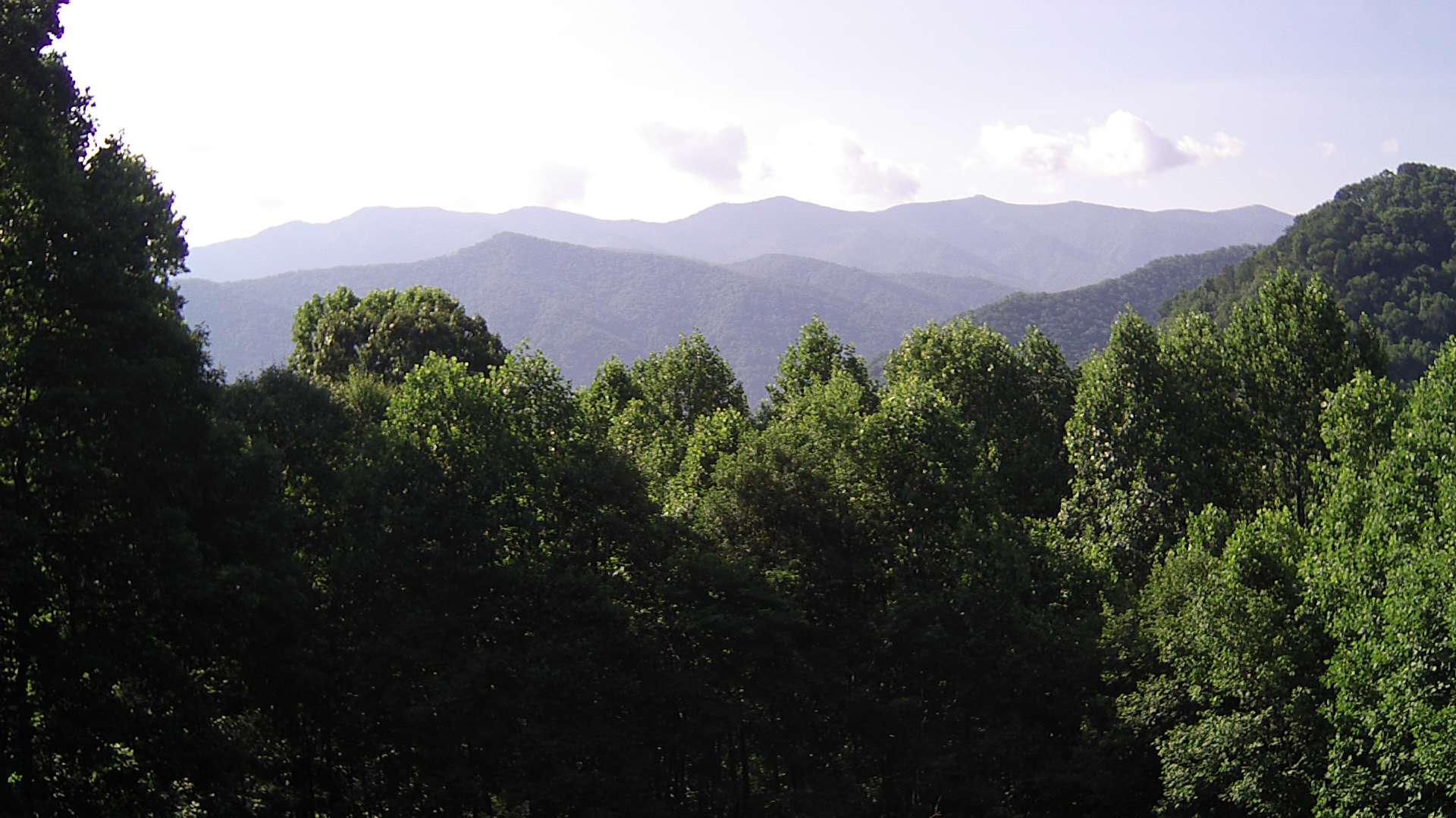 click for next image... slideshow image