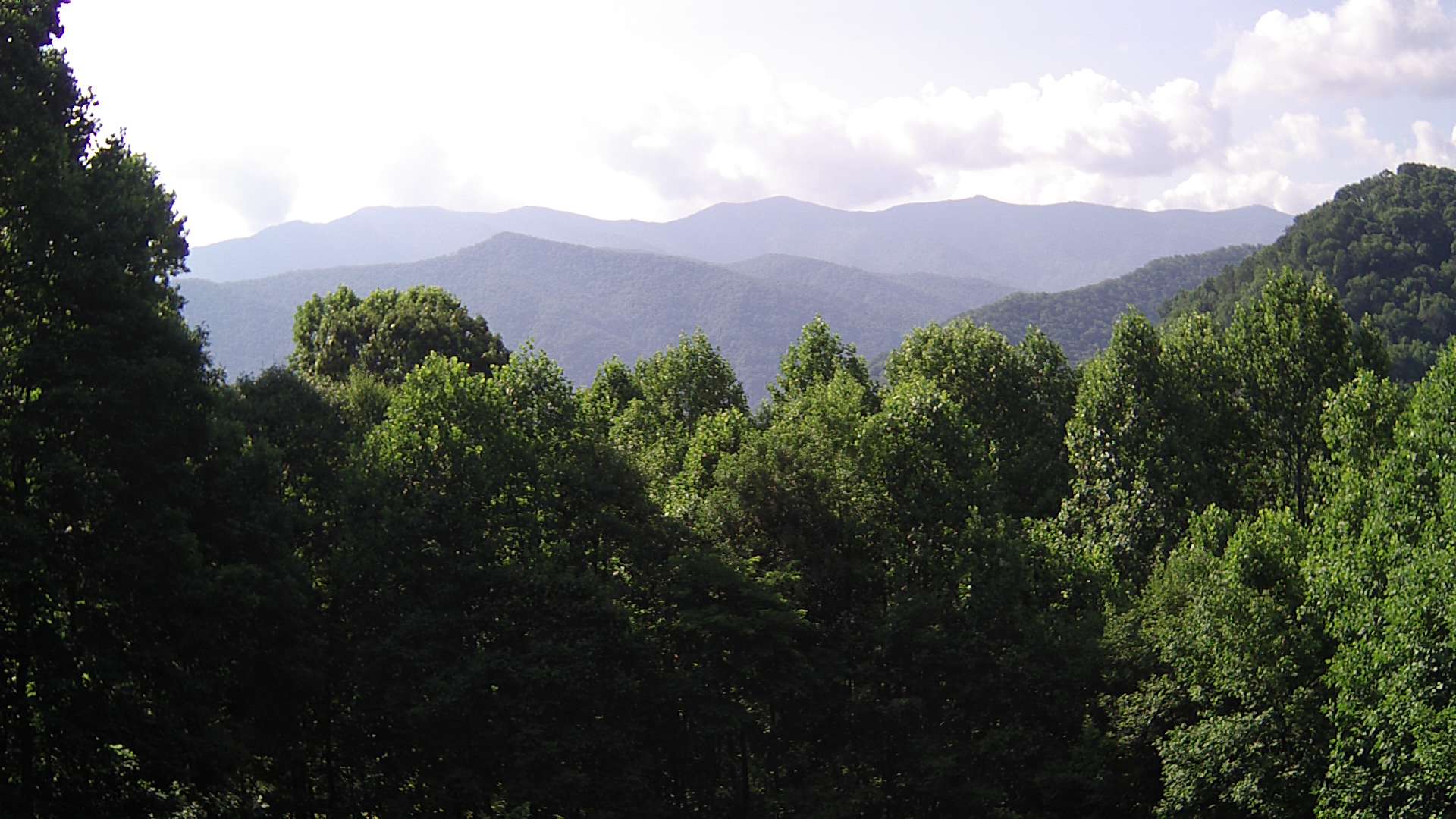 click for next image... slideshow image