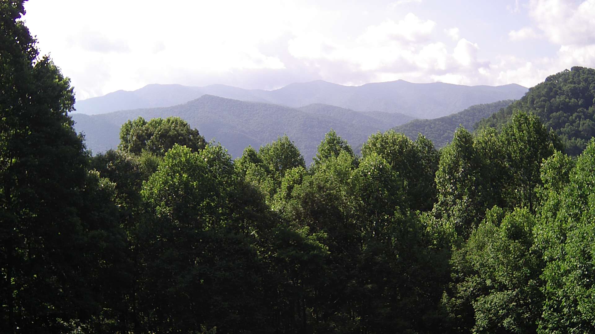 click for next image... slideshow image