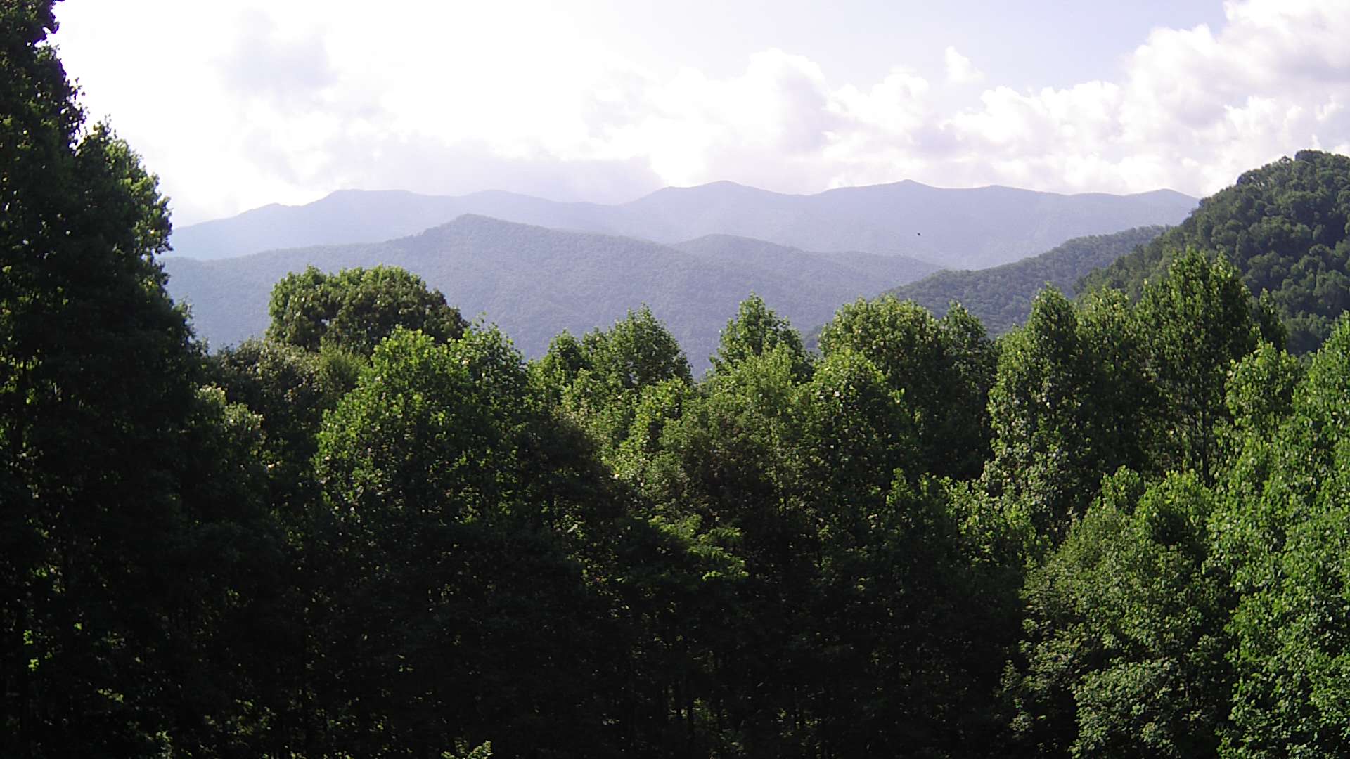 click for next image... slideshow image