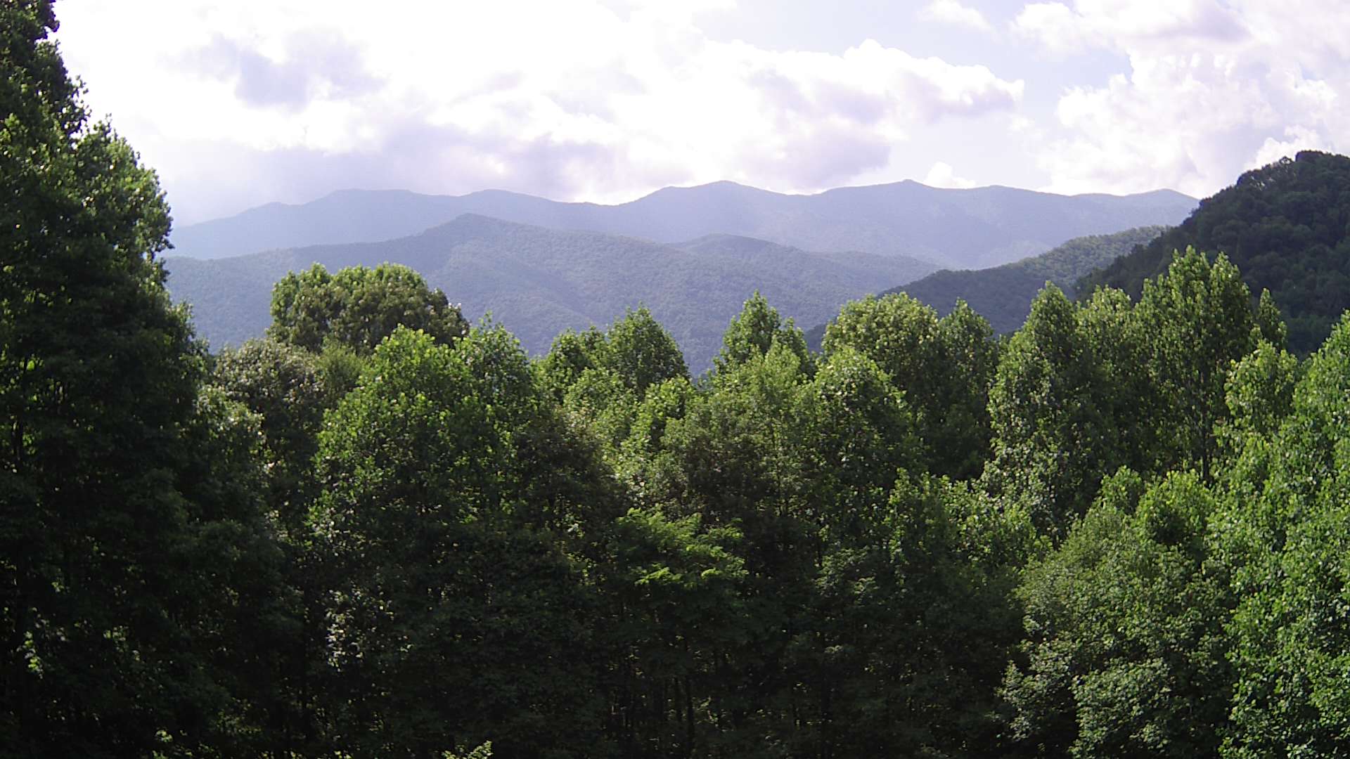 click for next image... slideshow image