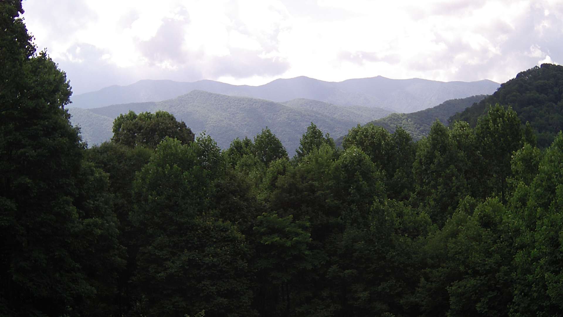 click for next image... slideshow image