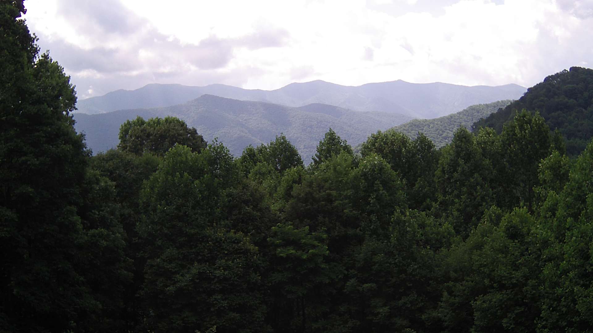 click for next image... slideshow image