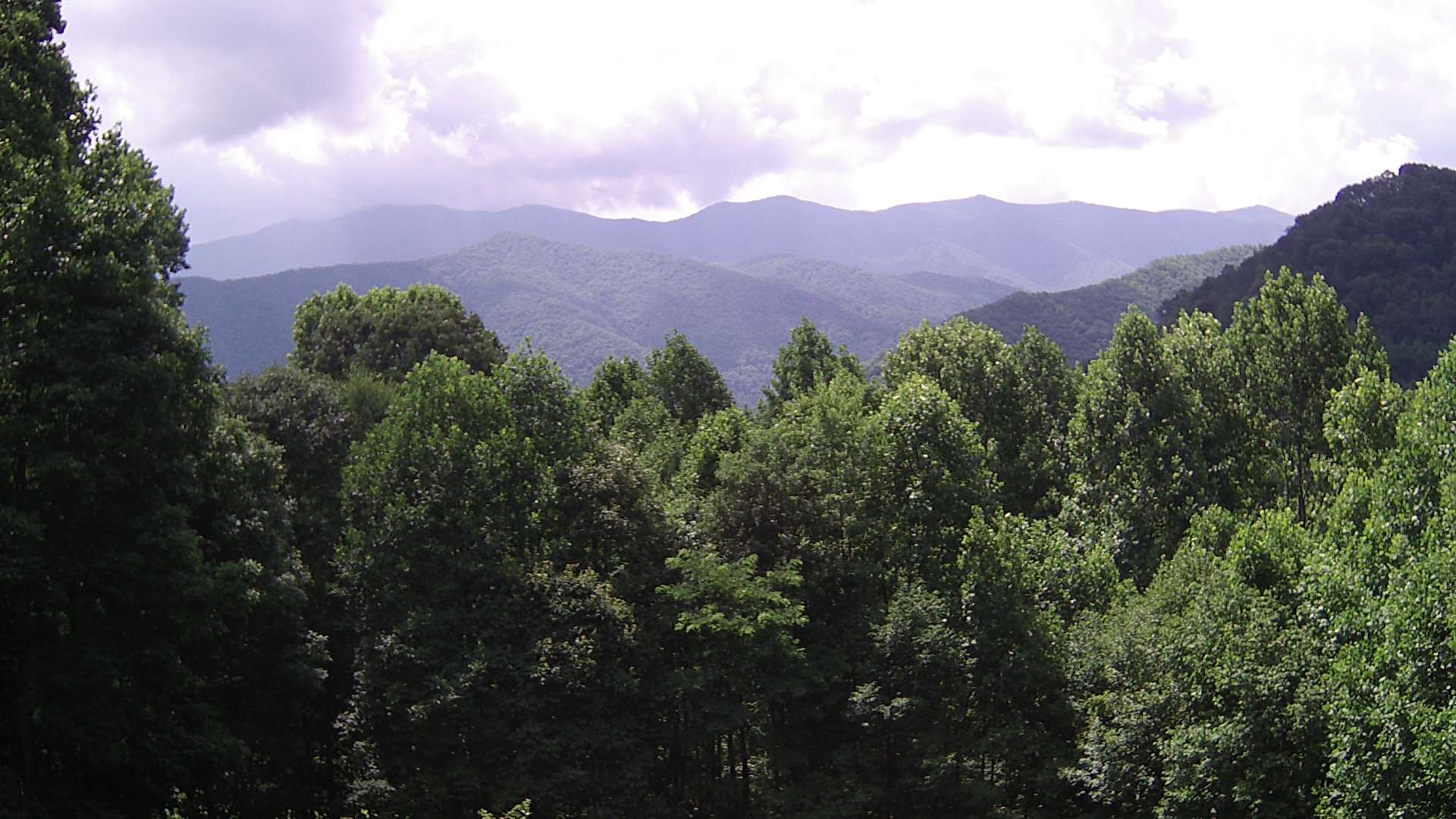 click for next image... slideshow image