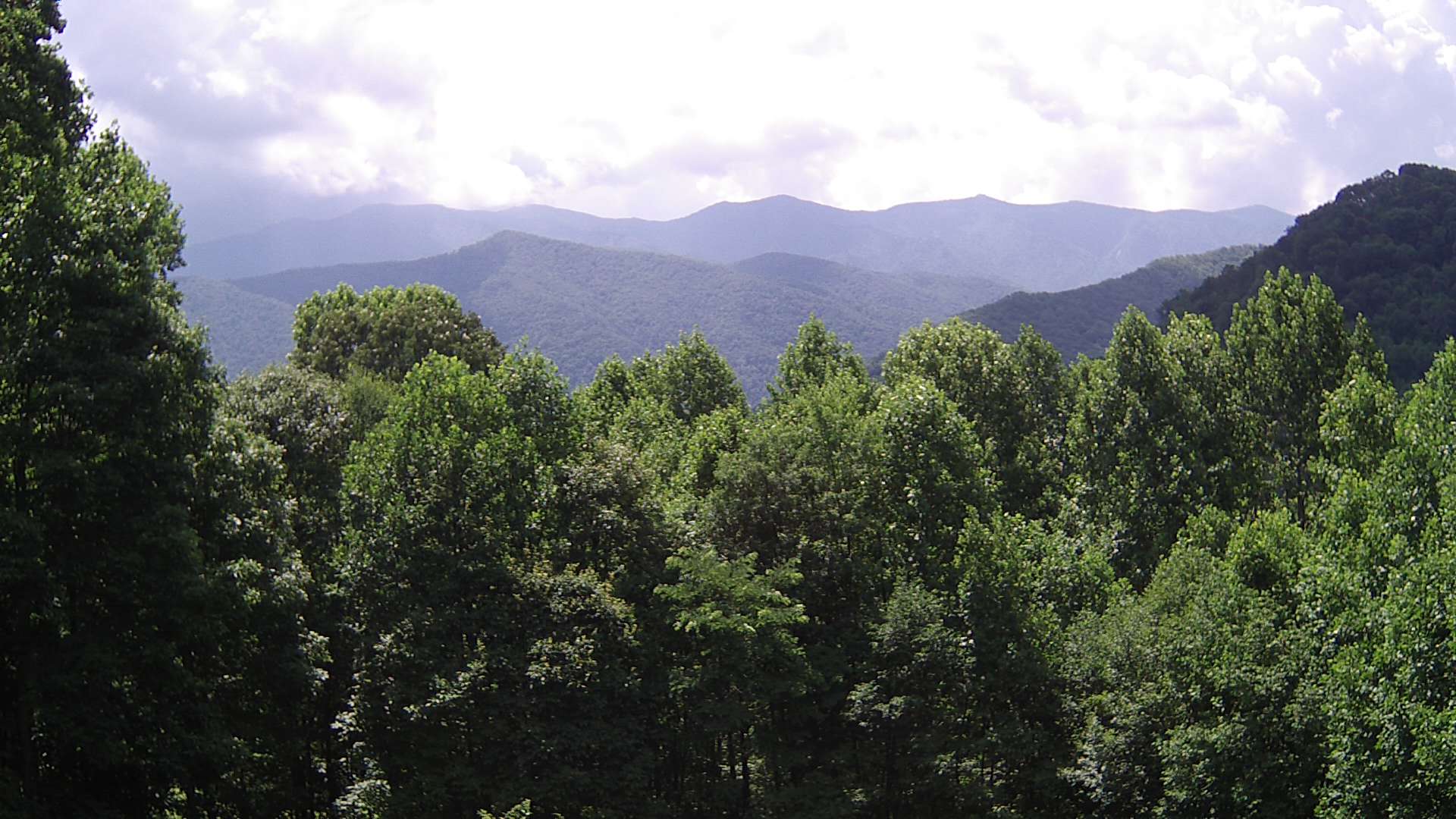 click for next image... slideshow image