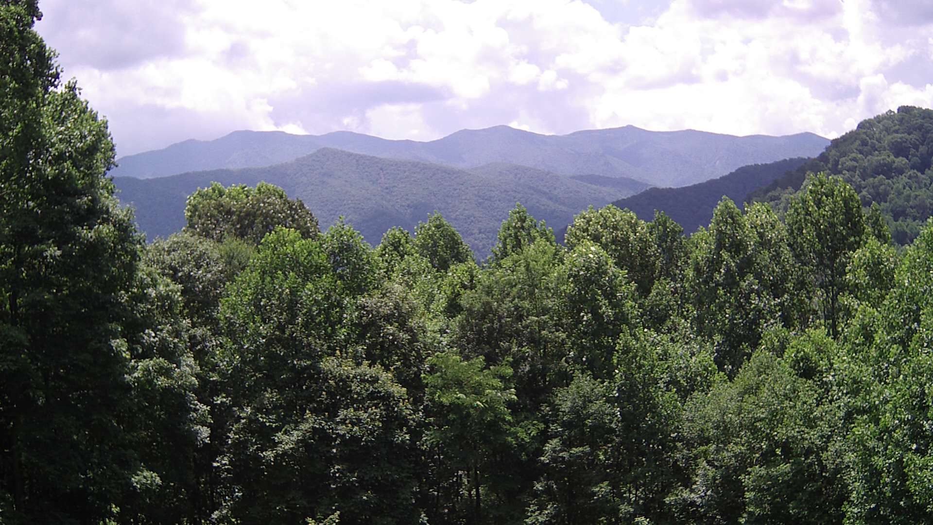 click for next image... slideshow image