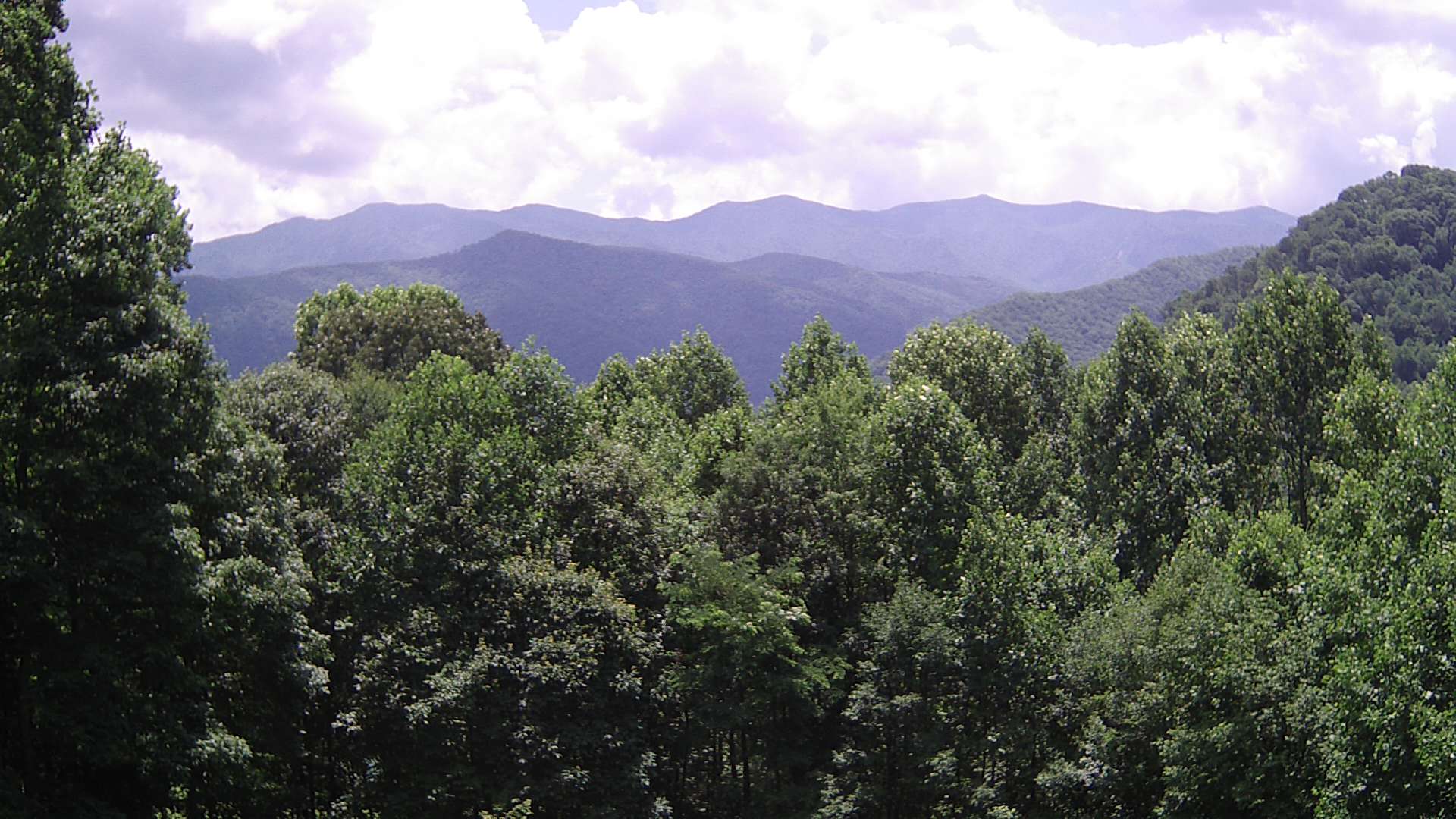 click for next image... slideshow image