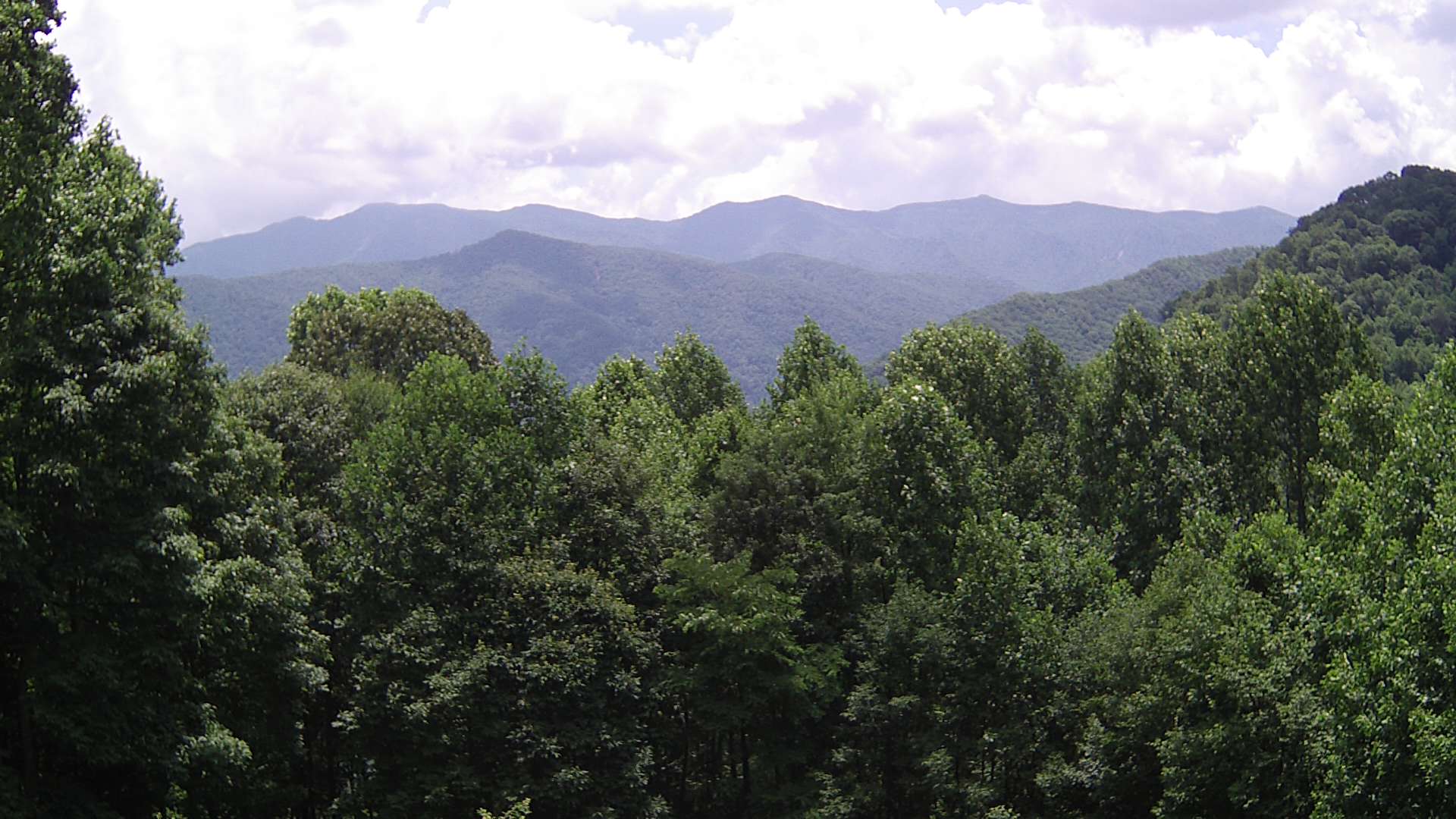 click for next image... slideshow image