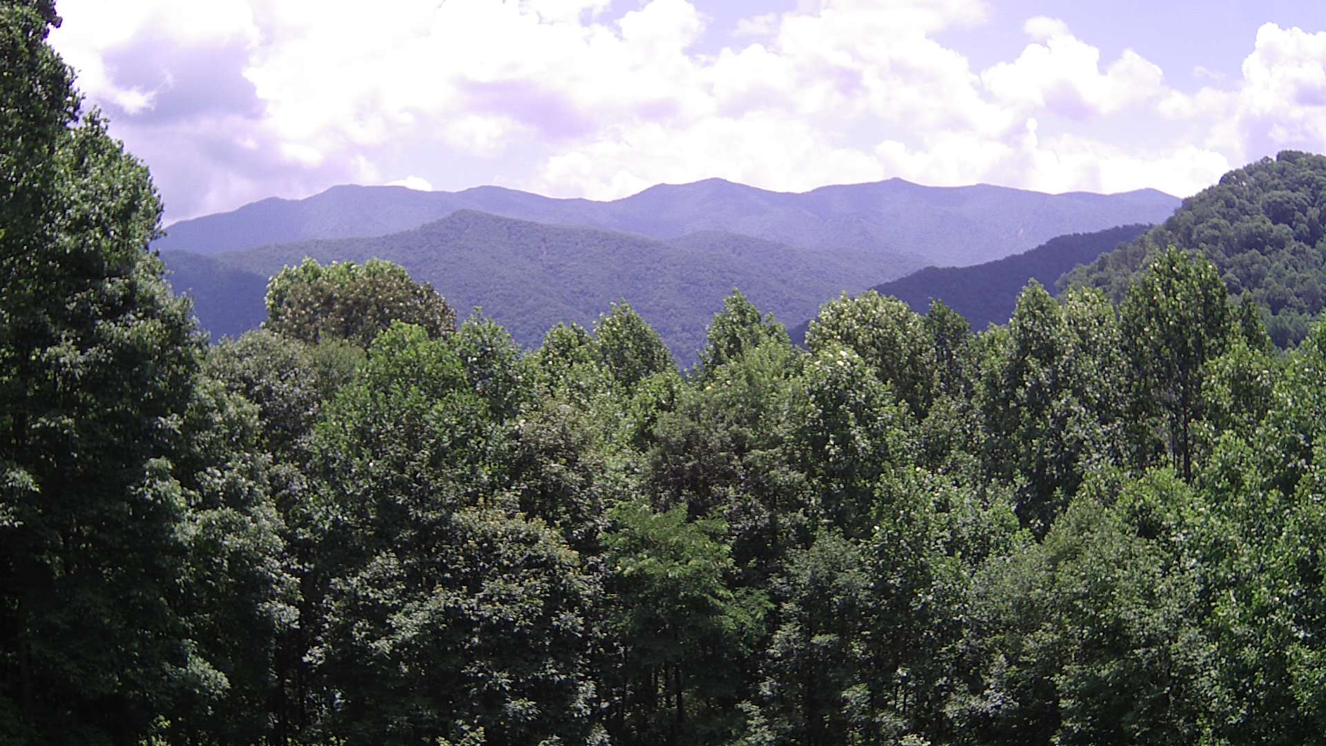 click for next image... slideshow image