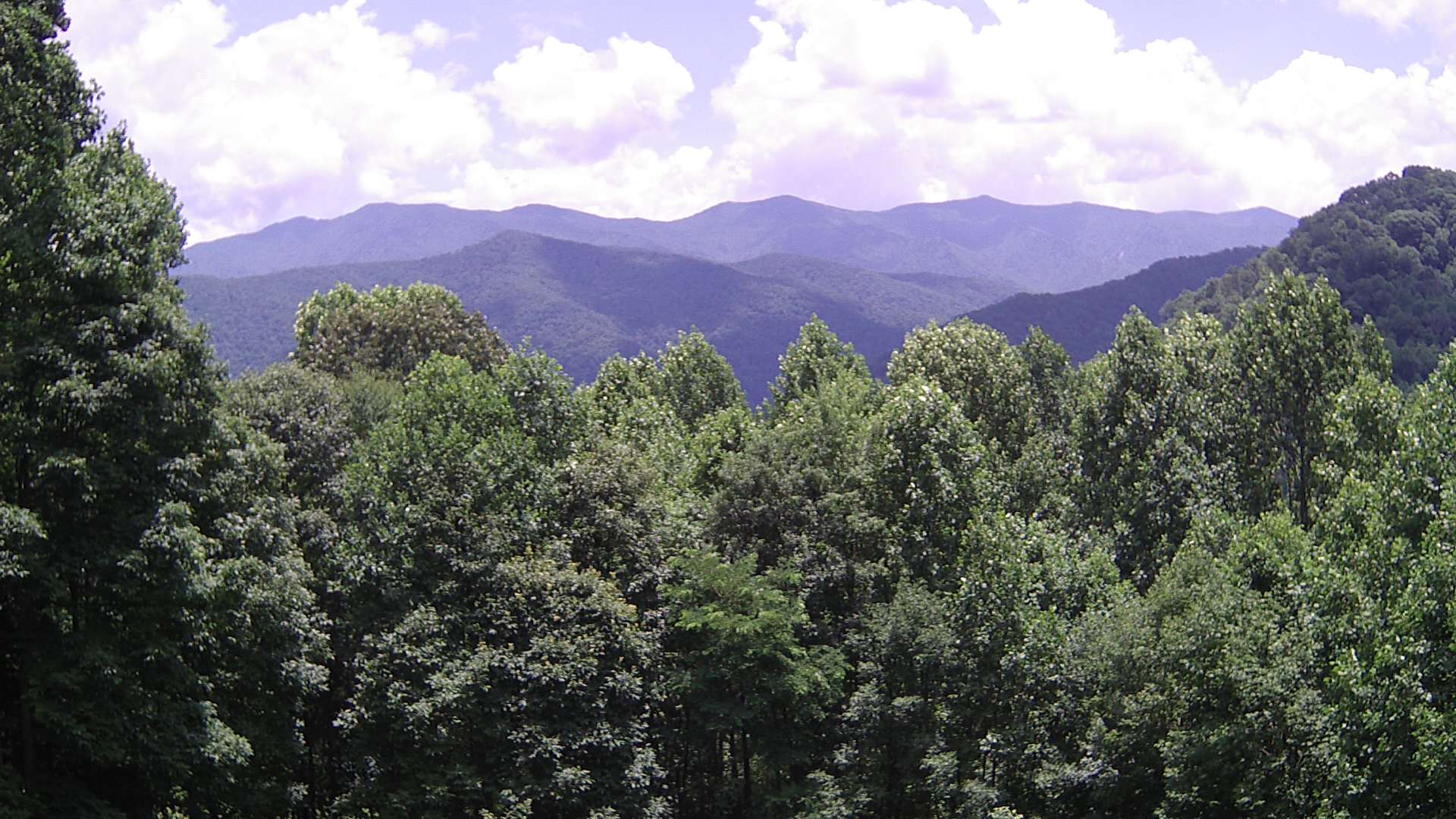 click for next image... slideshow image