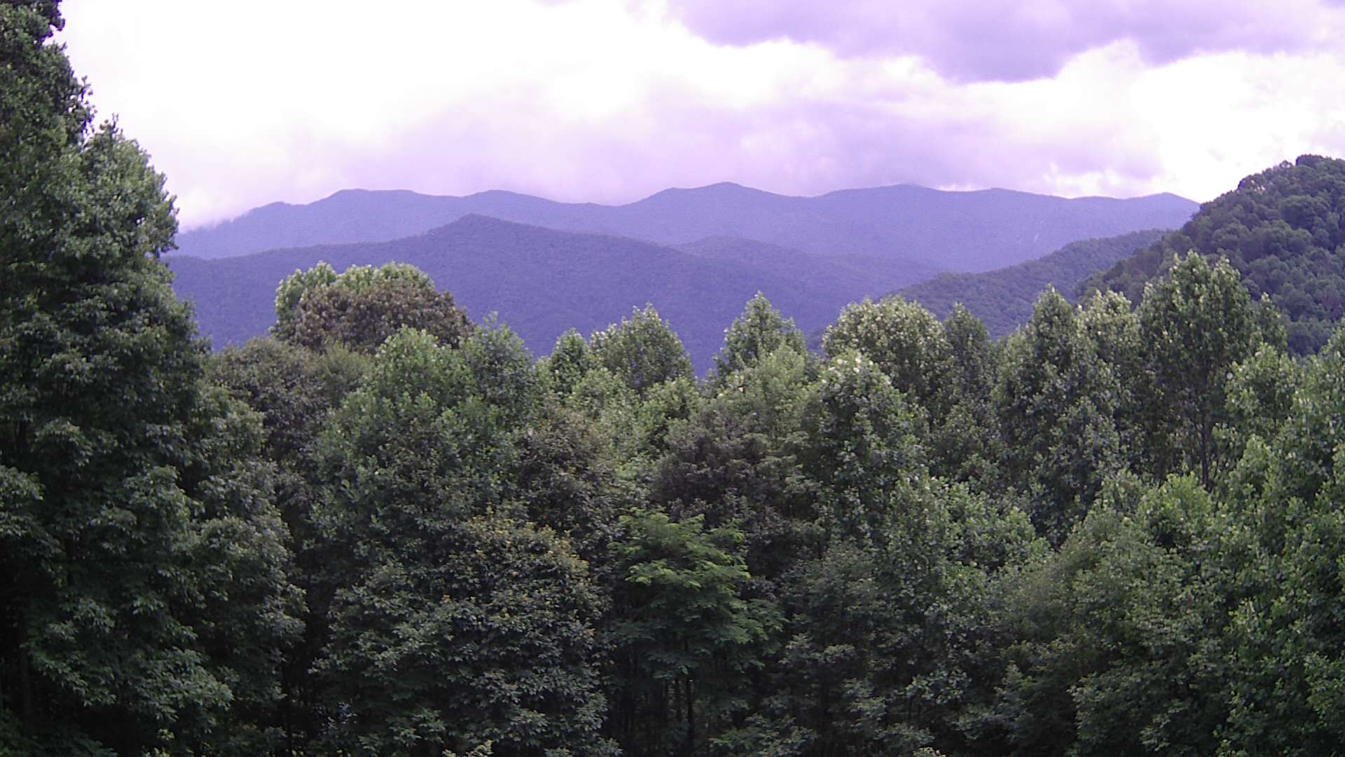 click for next image... slideshow image