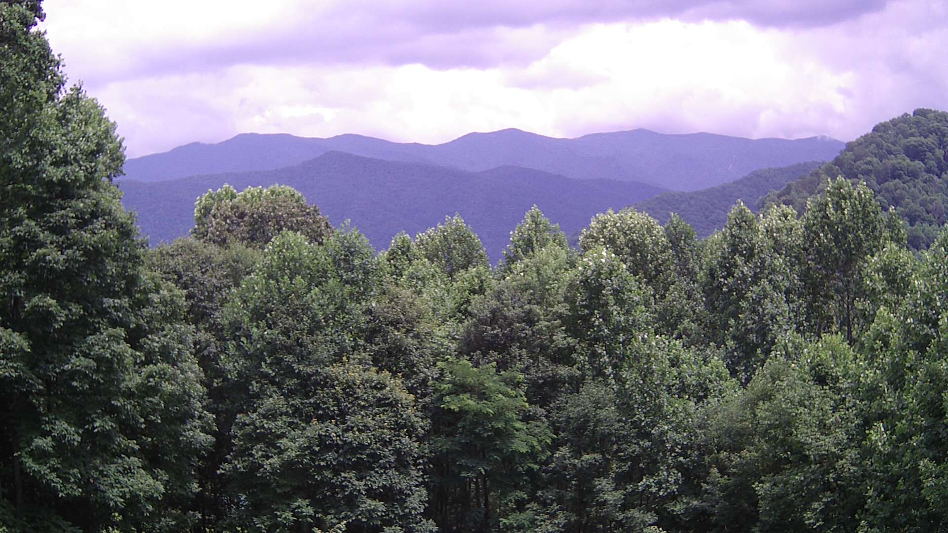 click for next image... slideshow image