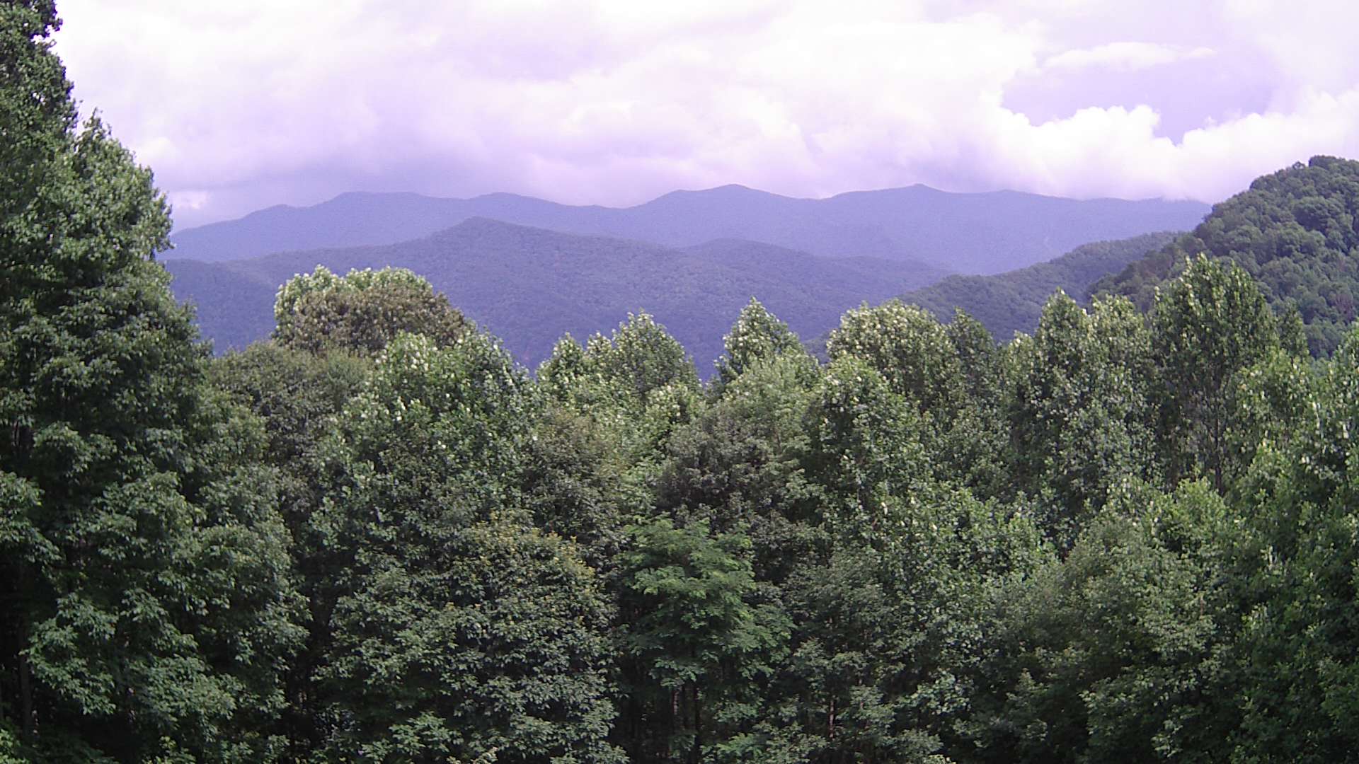 click for next image... slideshow image