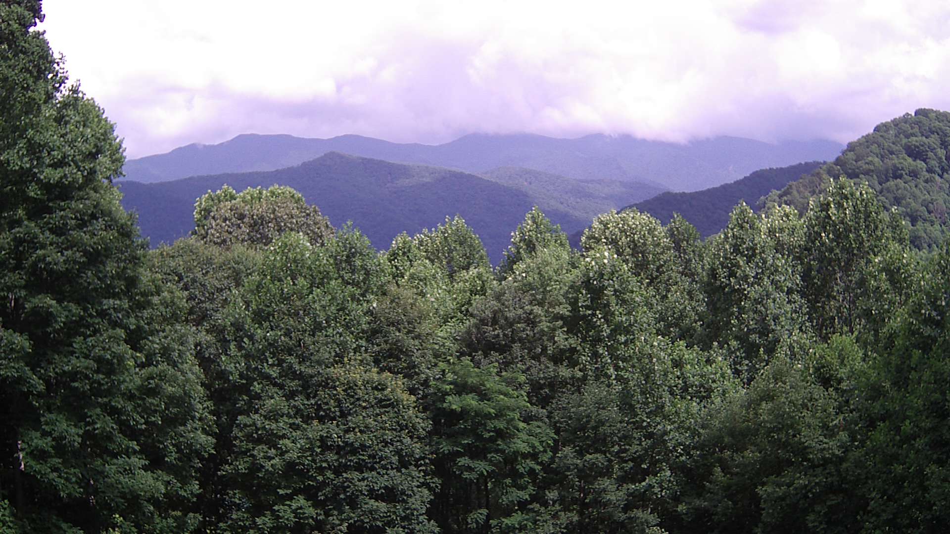 click for next image... slideshow image