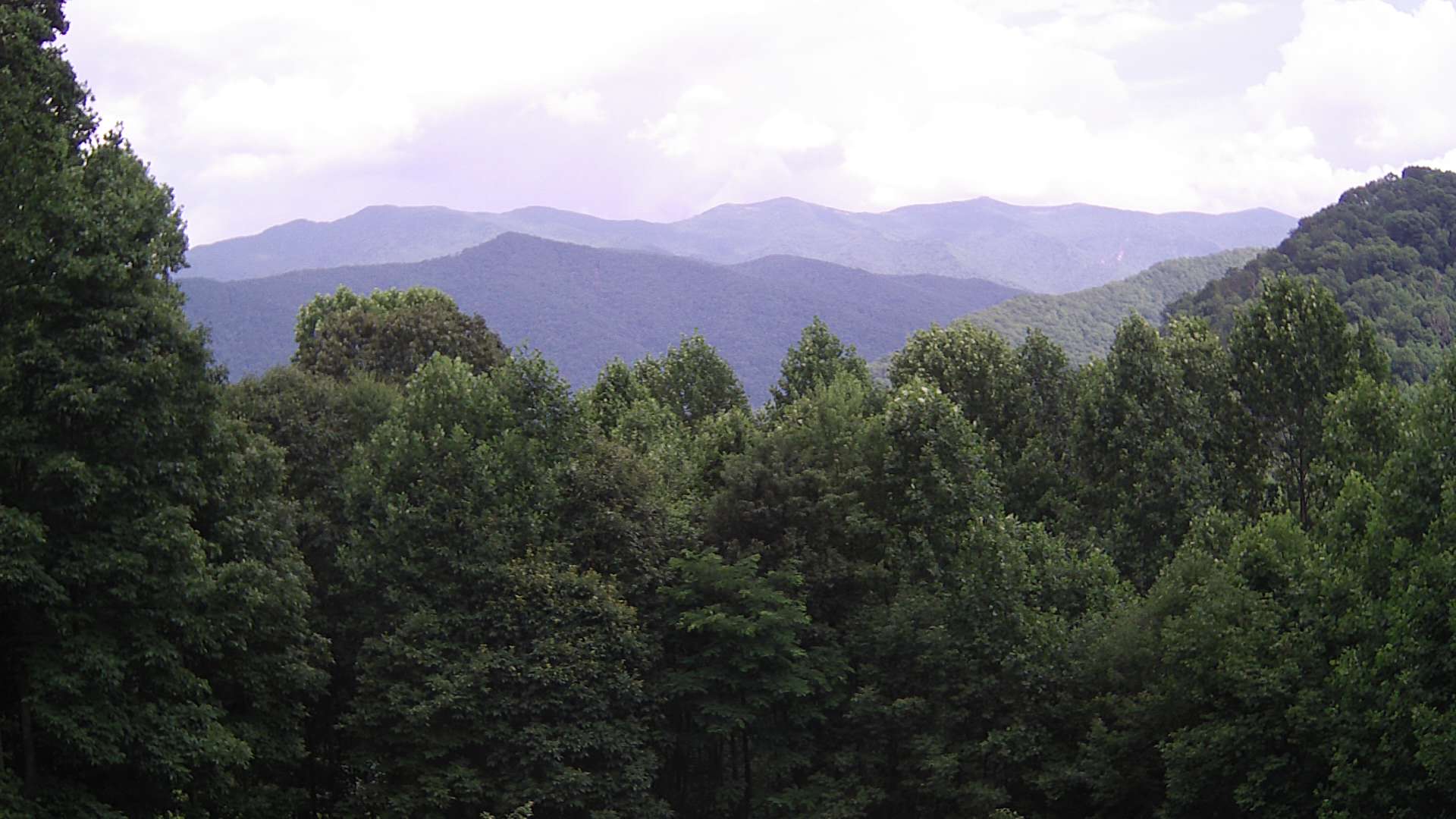 click for next image... slideshow image