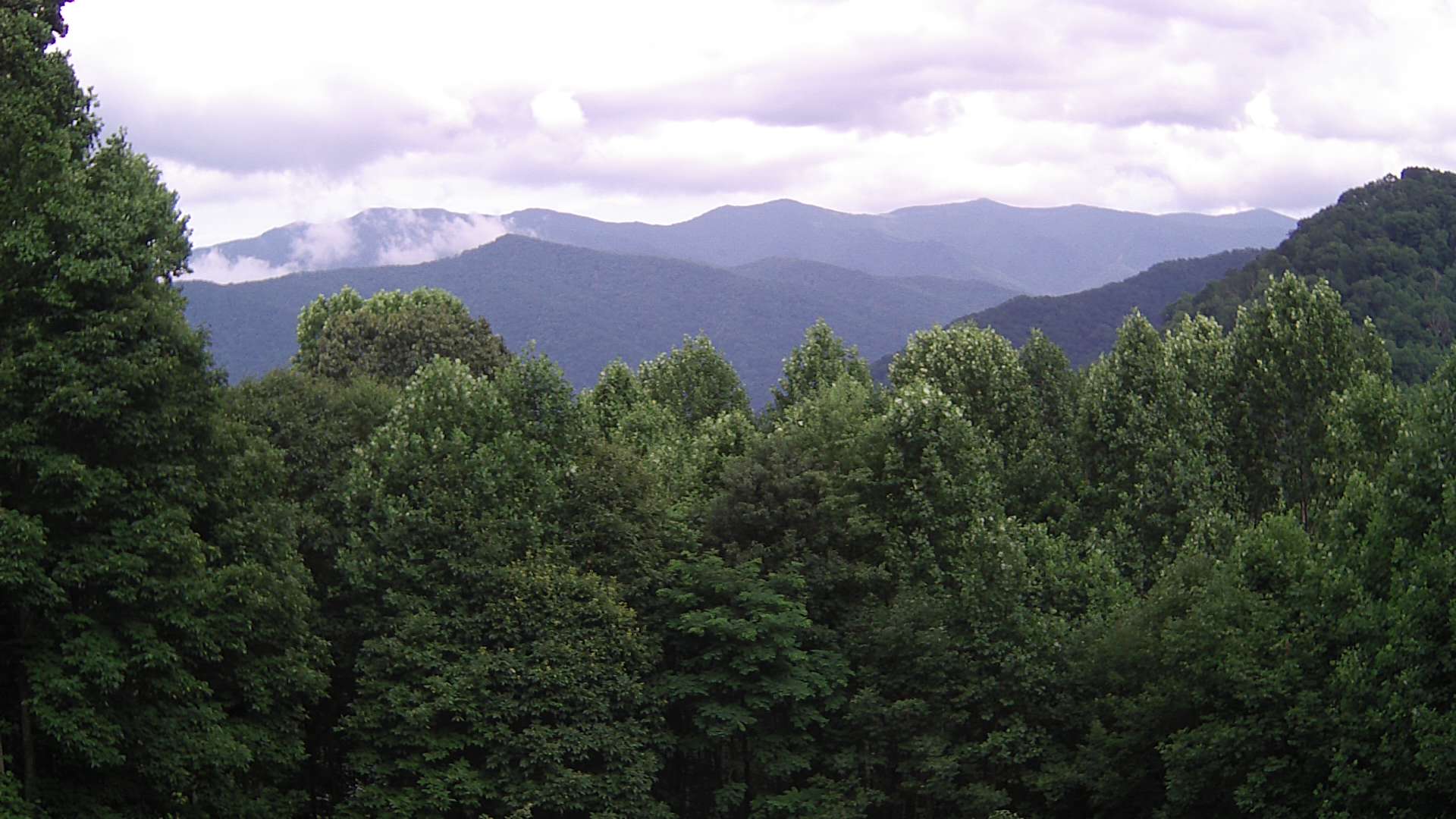 click for next image... slideshow image