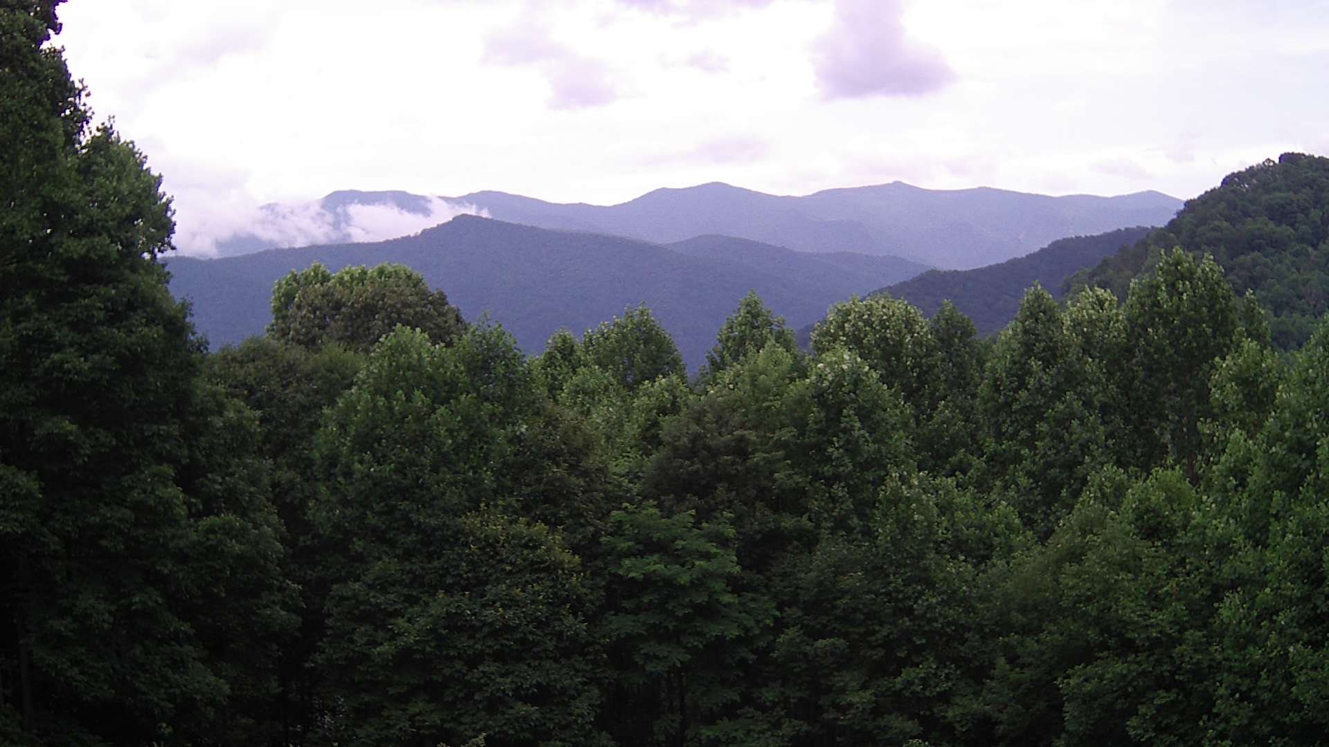 click for next image... slideshow image