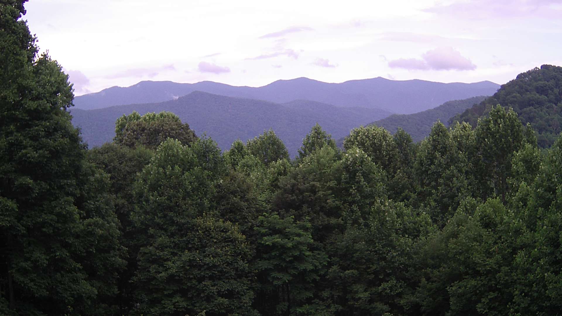 click for next image... slideshow image