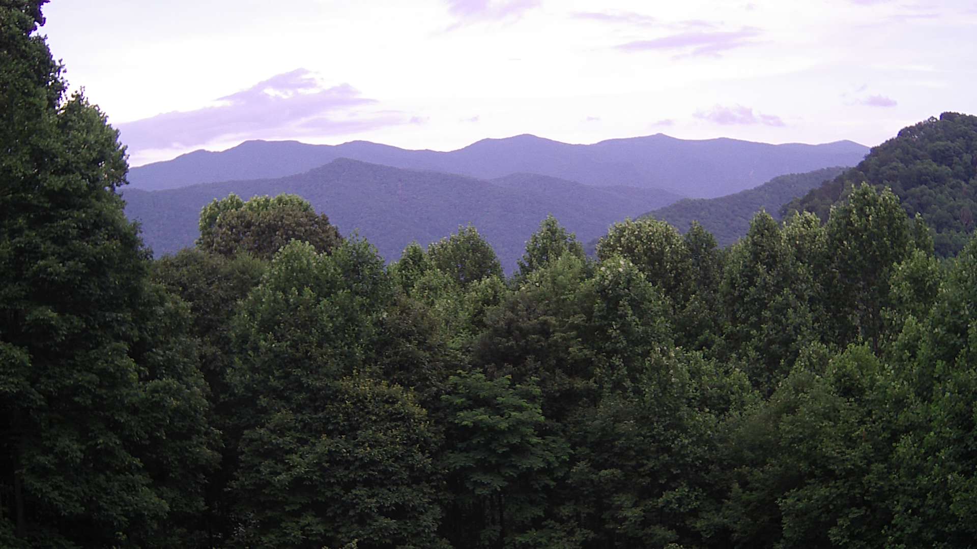 click for next image... slideshow image