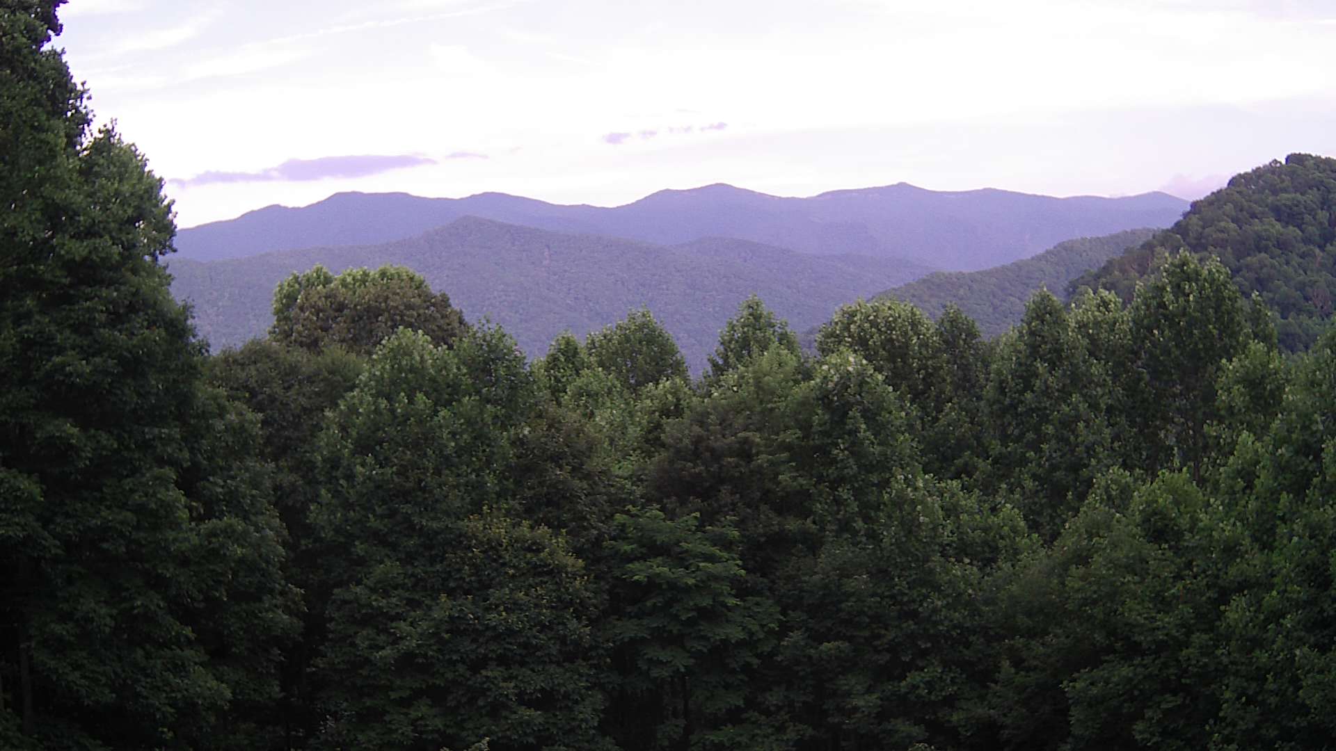 click for next image... slideshow image