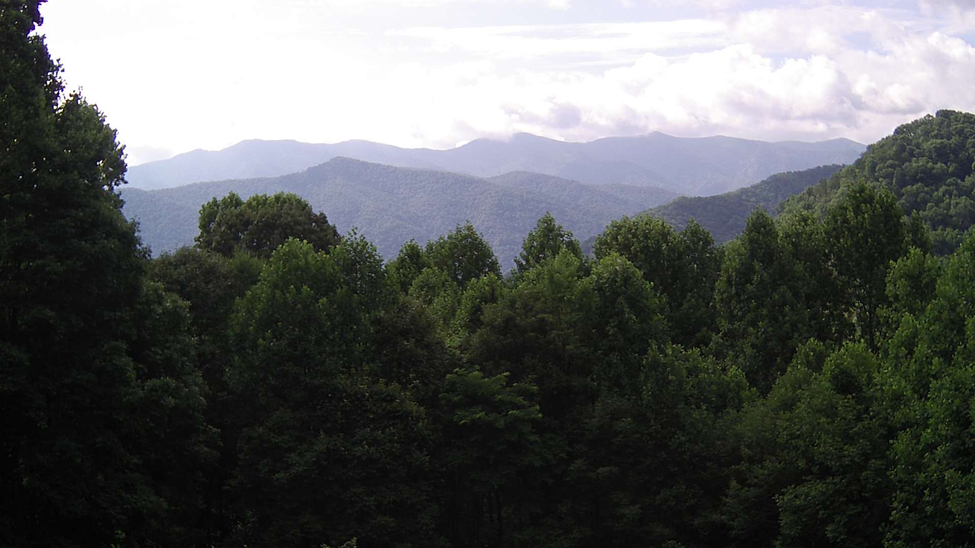 click for next image... slideshow image