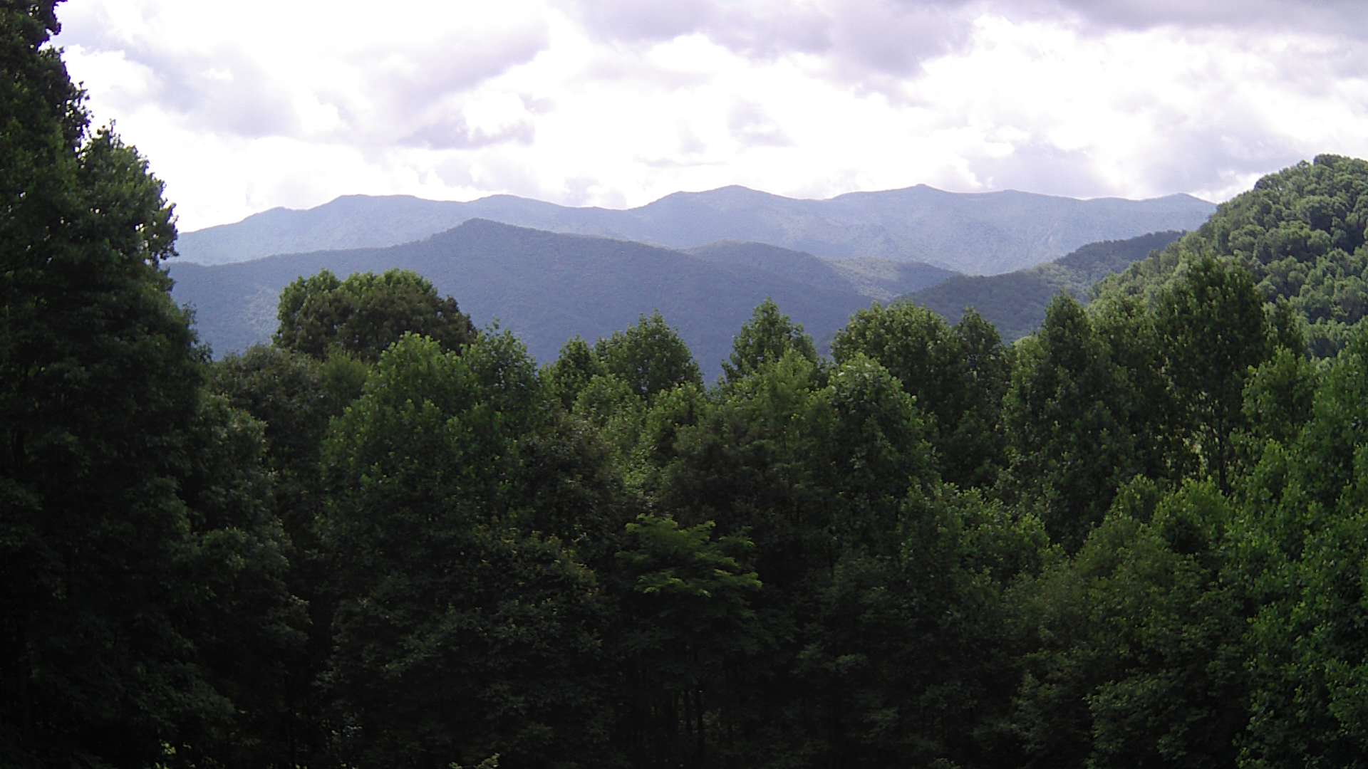 click for next image... slideshow image