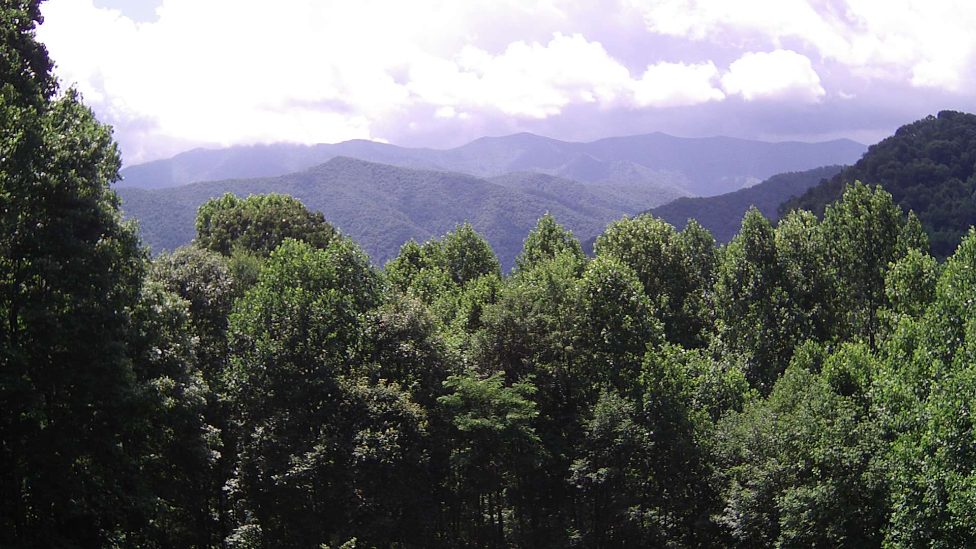 click for next image... slideshow image