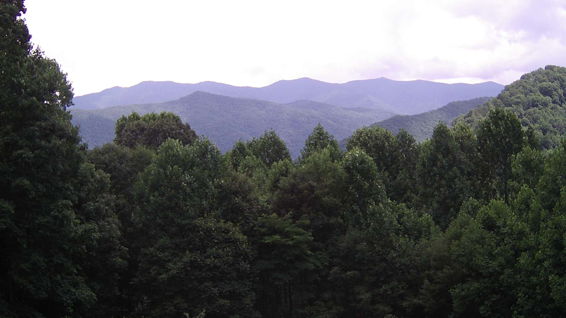 click for next image... slideshow image