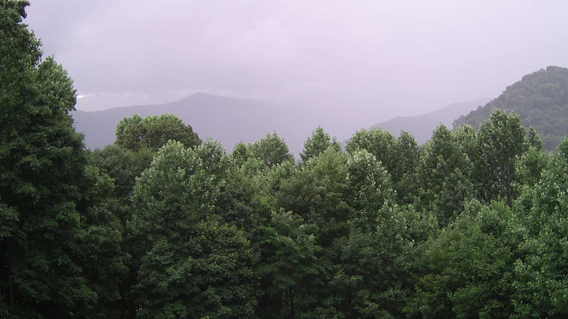 click for next image... slideshow image